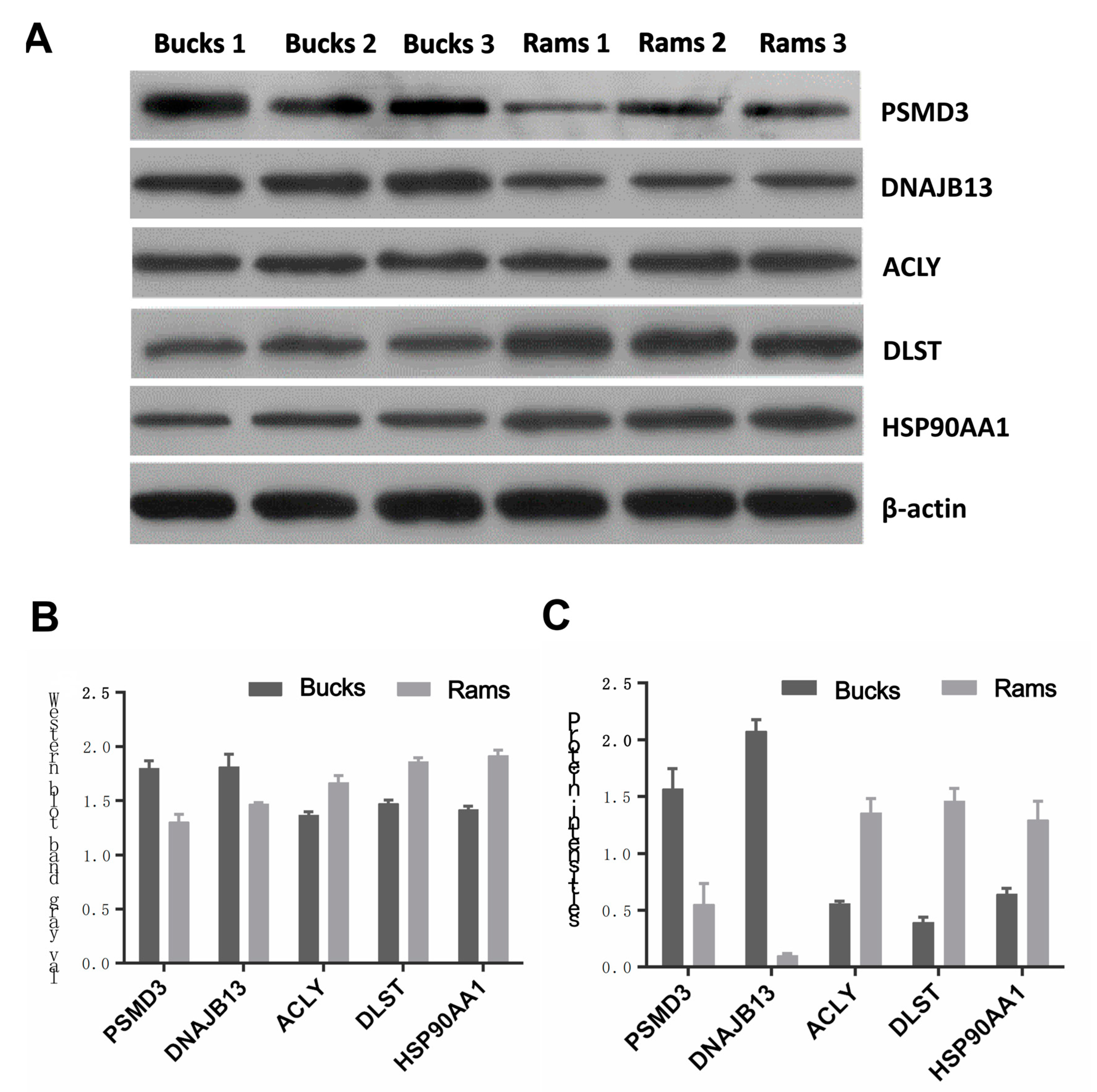 Genes 14 00973 g008 Genes 14 00973 g008