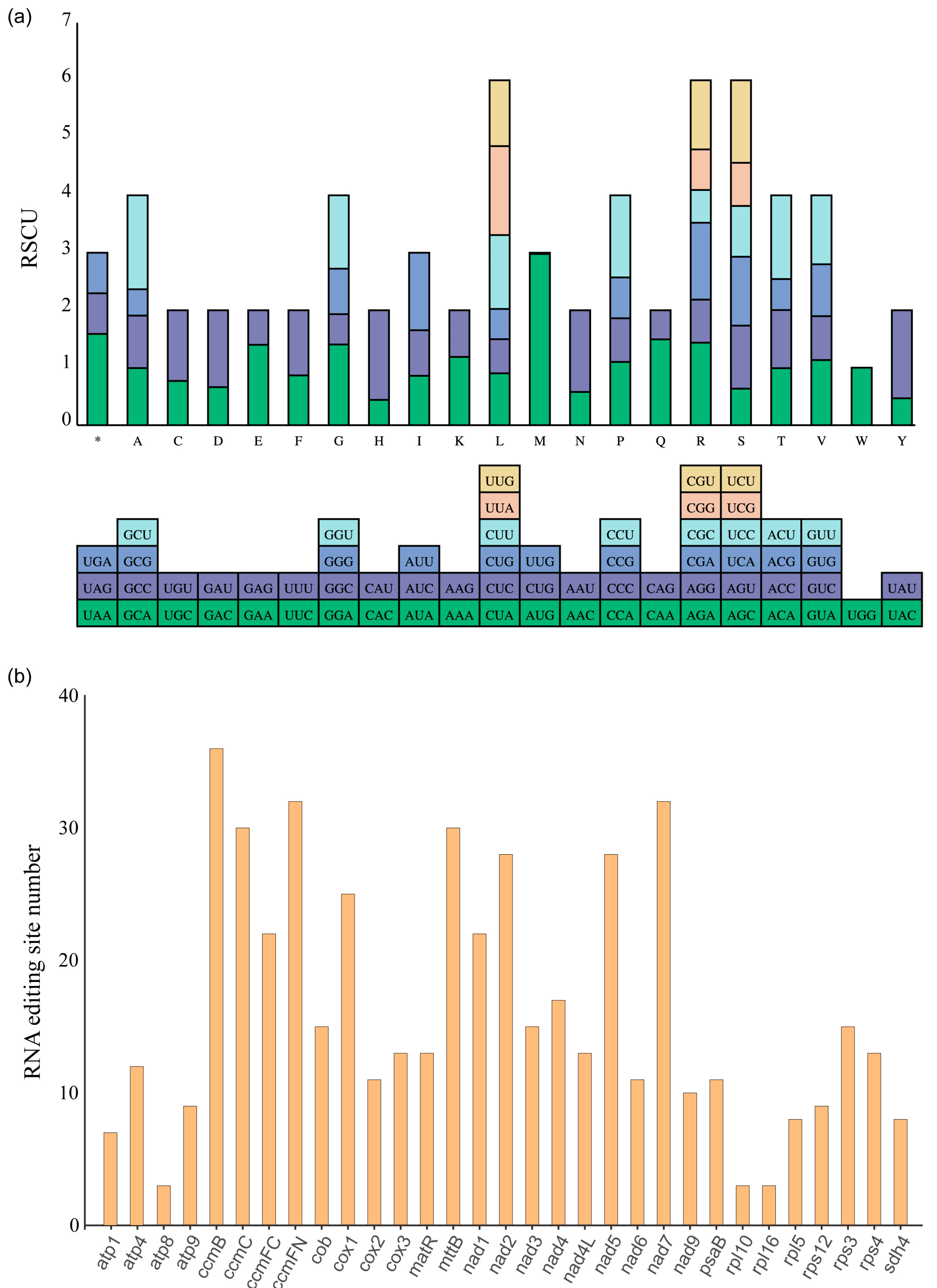 Genes 14 00979 g004 Genes 14 00979 g004