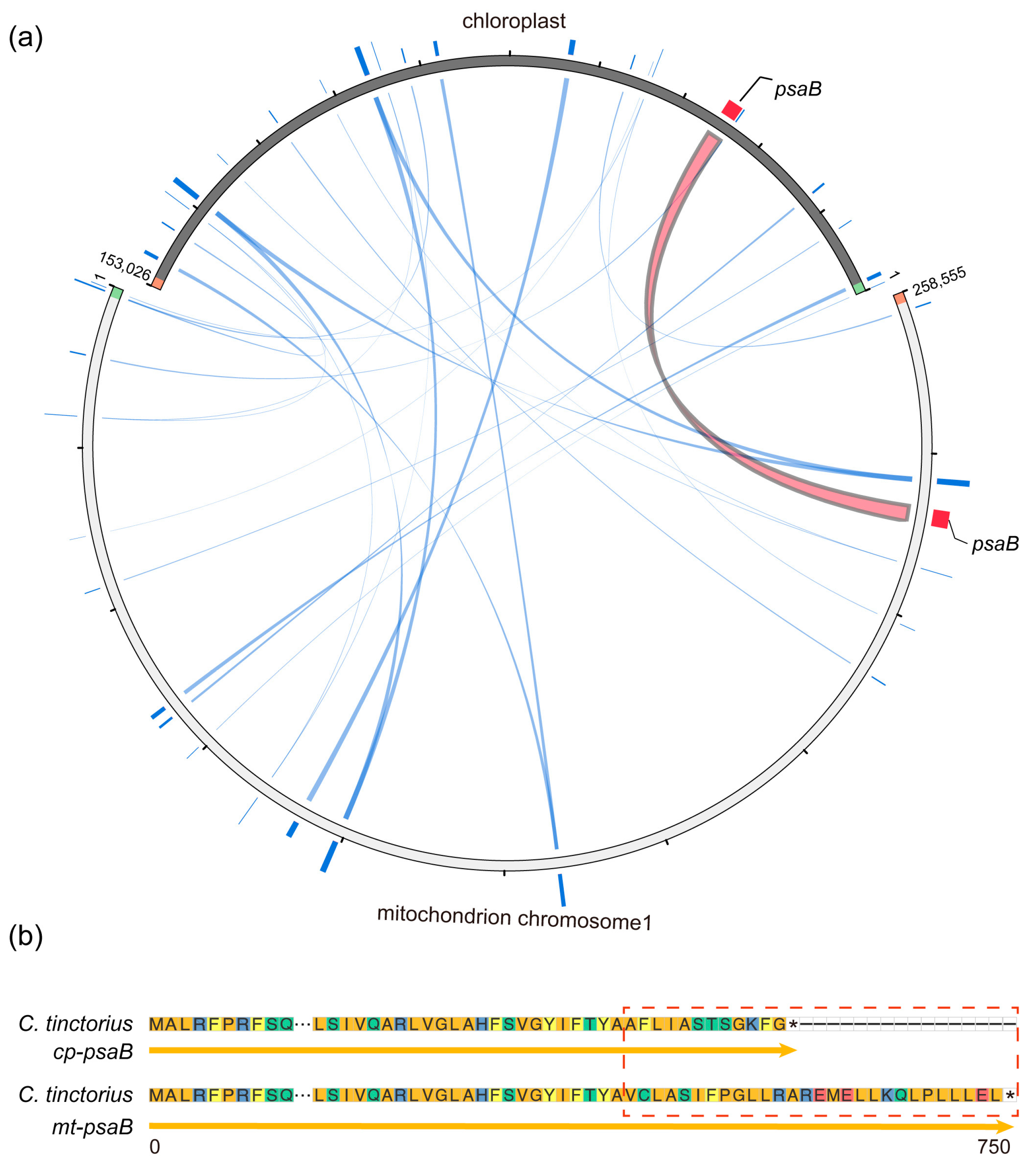 Genes 14 00979 g005 Genes 14 00979 g005