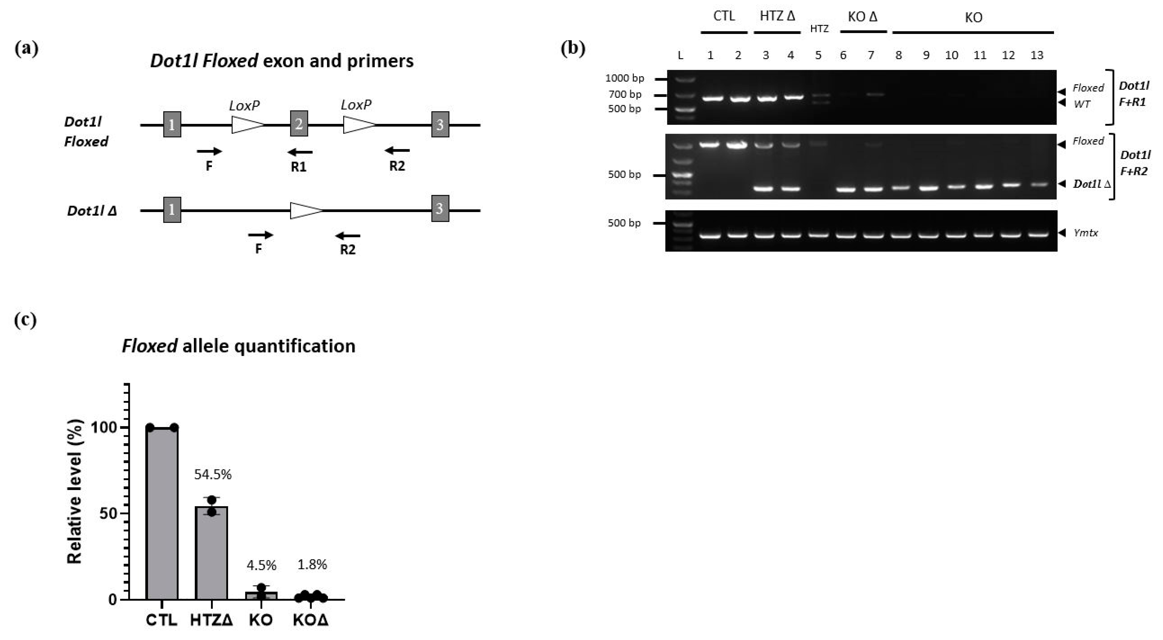 Genes 14 00983 g004 Genes 14 00983 g004