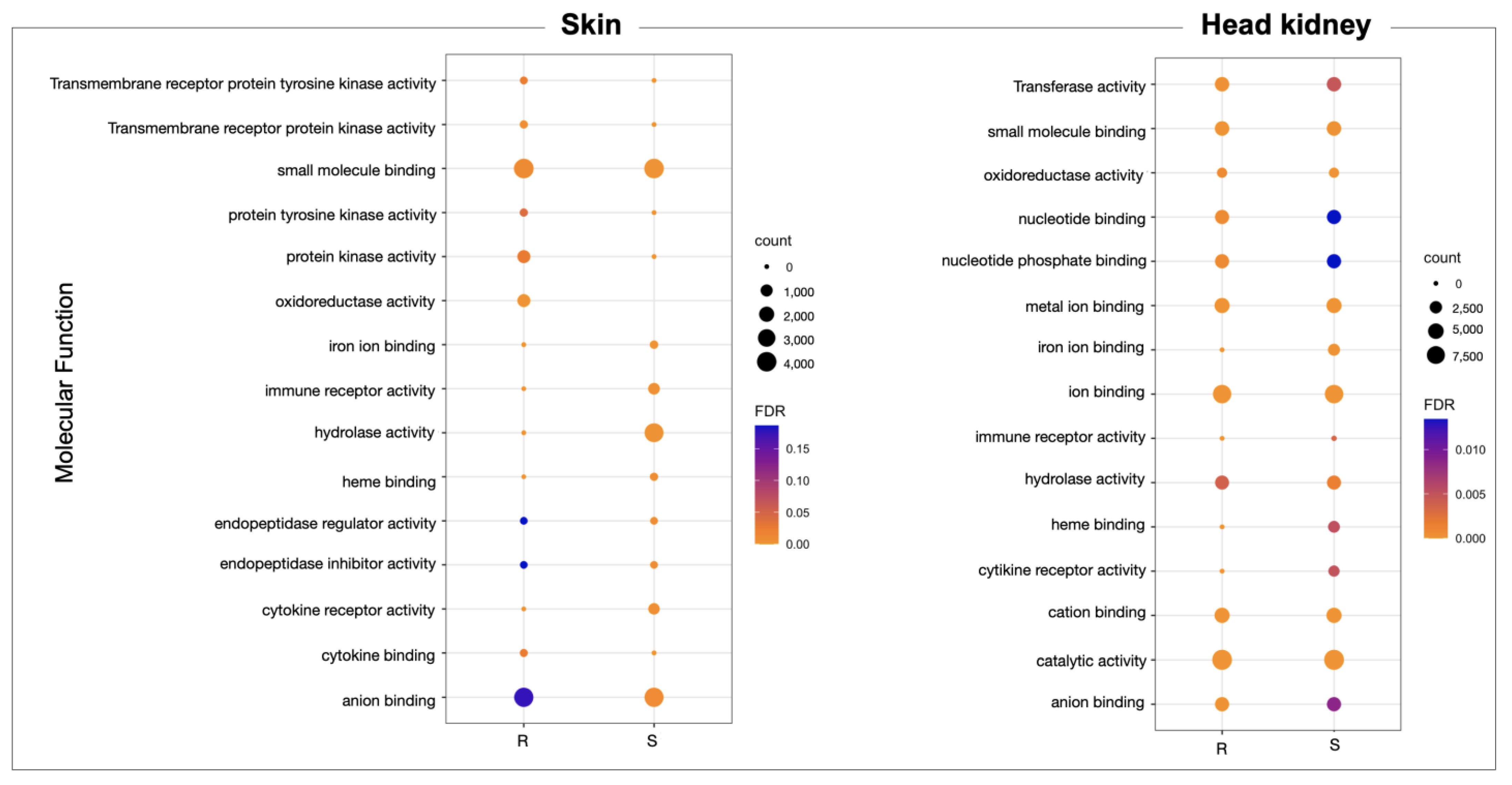 Genes 14 00986 g002 Genes 14 00986 g002