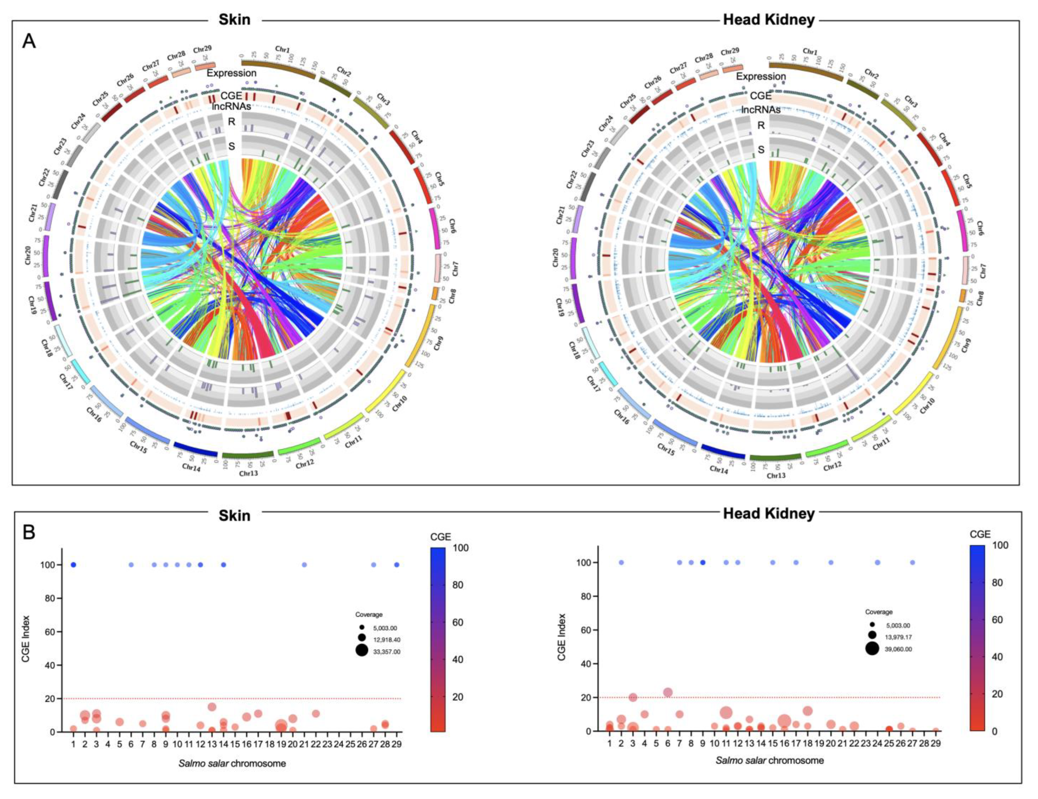 Genes 14 00986 g003 Genes 14 00986 g003