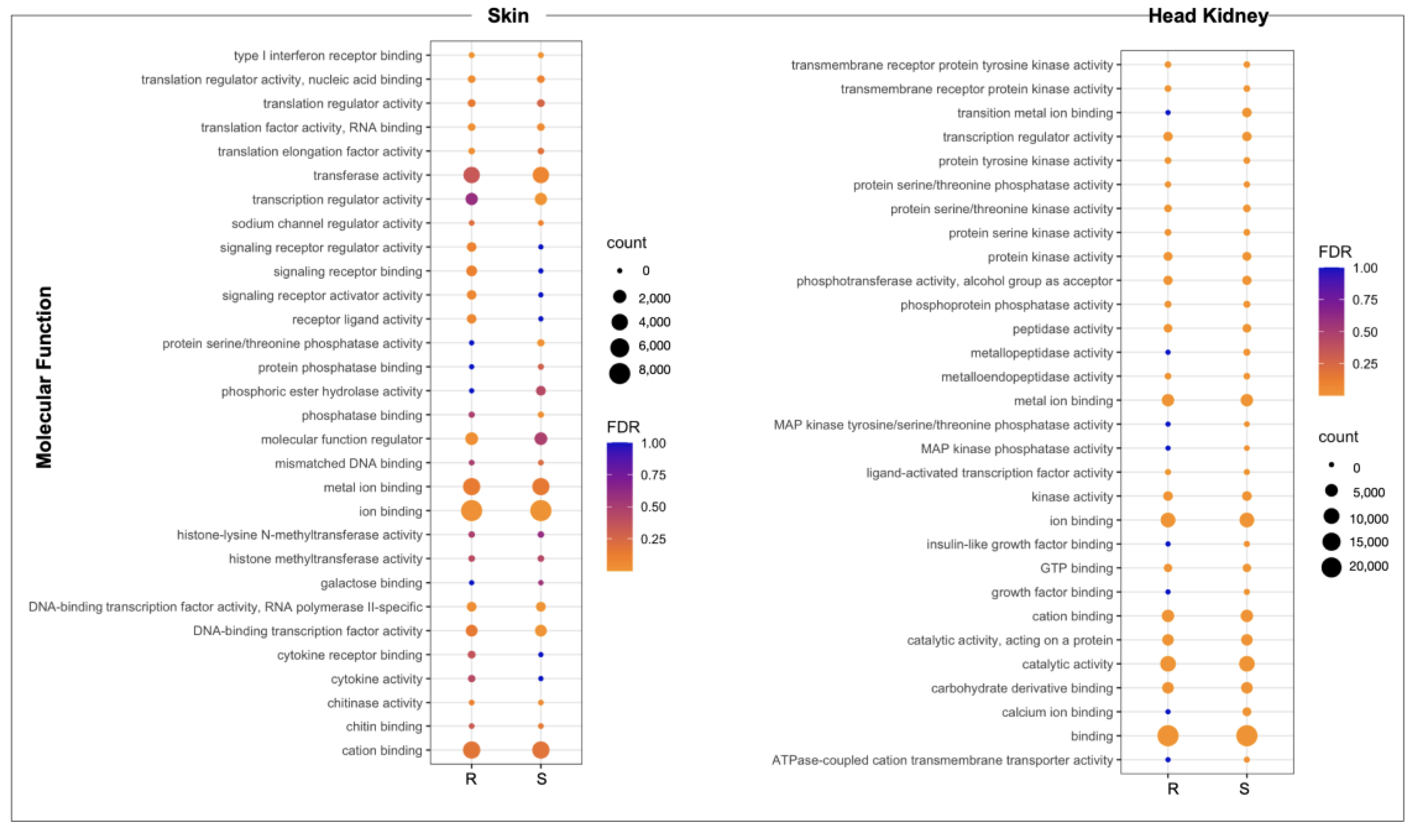 Genes 14 00986 g004 Genes 14 00986 g004