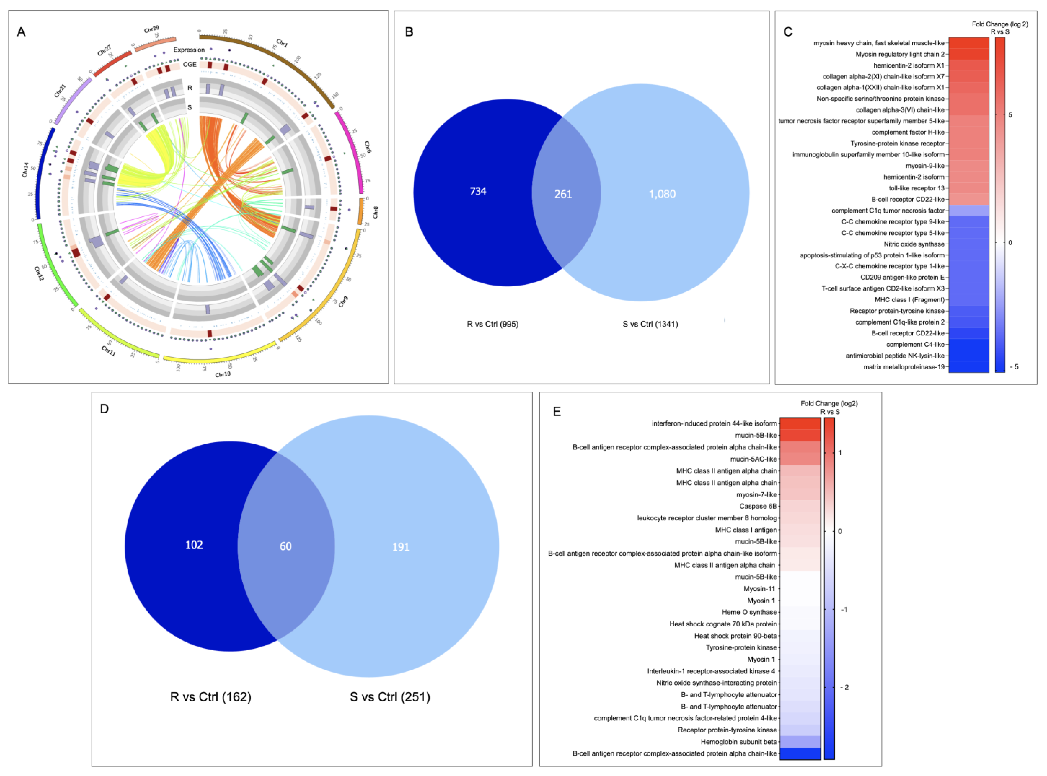 Genes 14 00986 g005 Genes 14 00986 g005