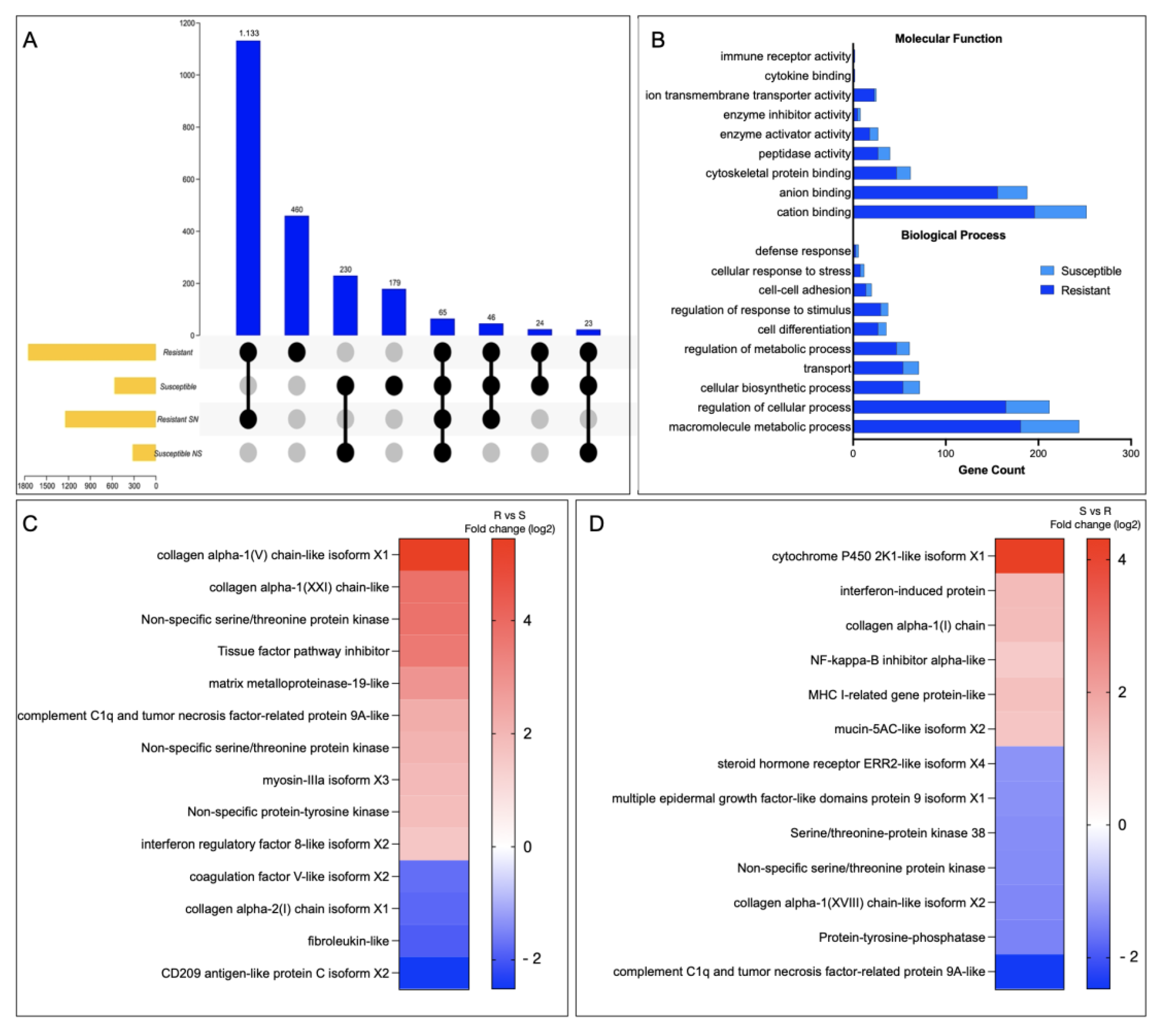 Genes 14 00986 g007 Genes 14 00986 g007