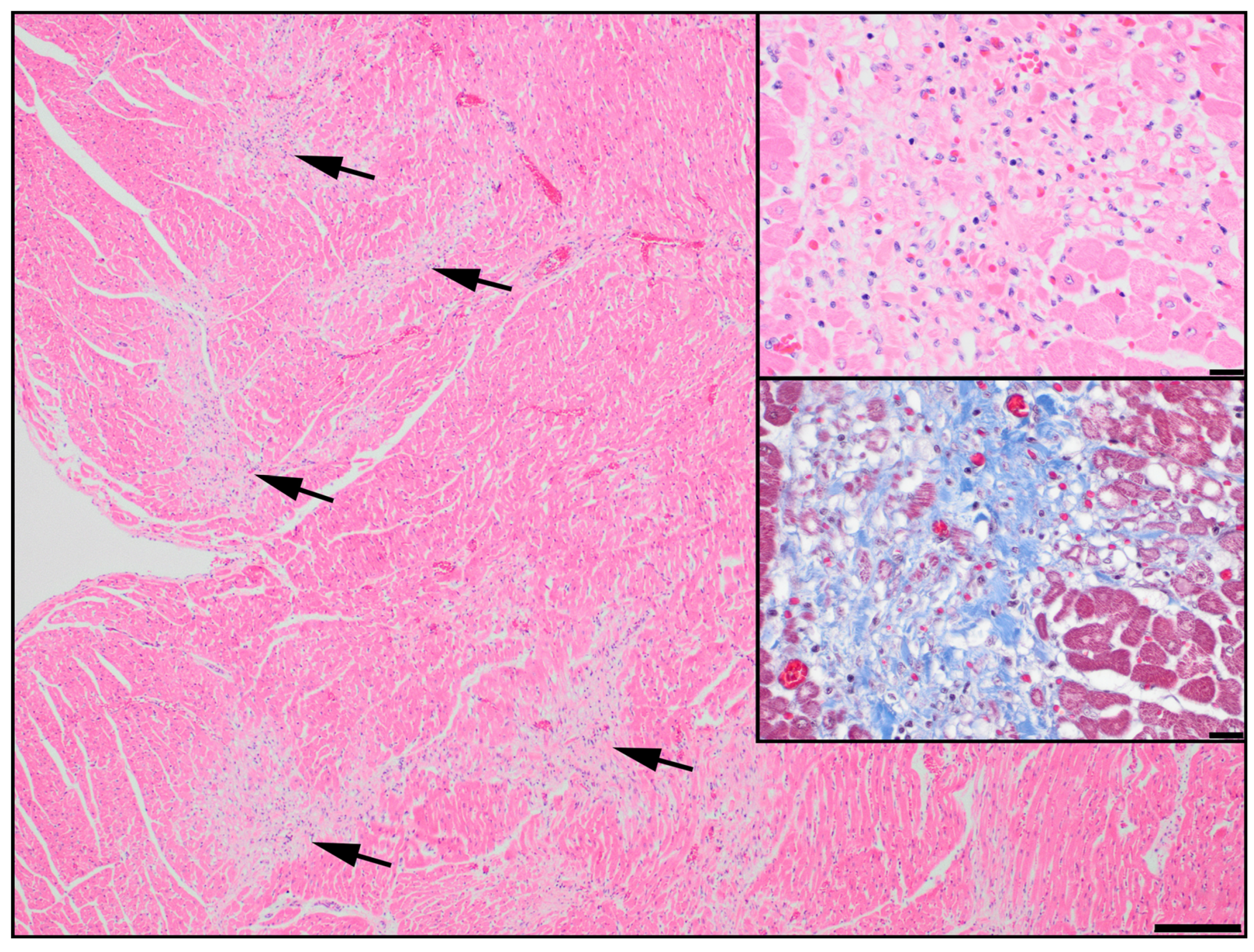 Genes 14 00988 g001 Genes 14 00988 g001