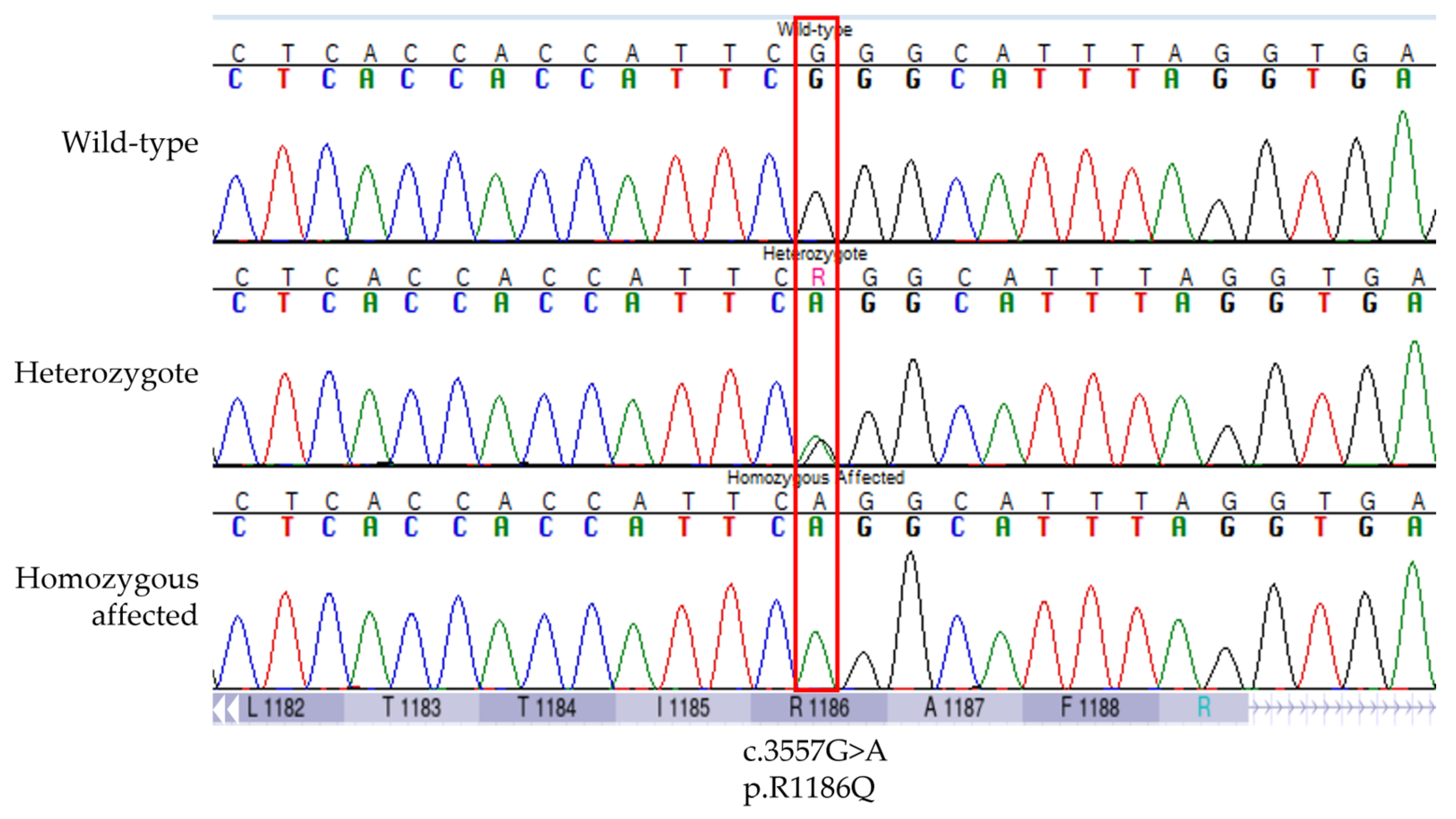 Genes 14 00988 g004 Genes 14 00988 g004