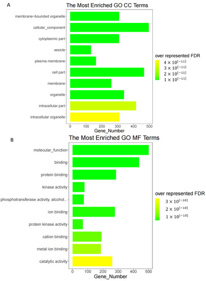Comprehensive RNA-Seq Analysis Pipeline for Non-Model