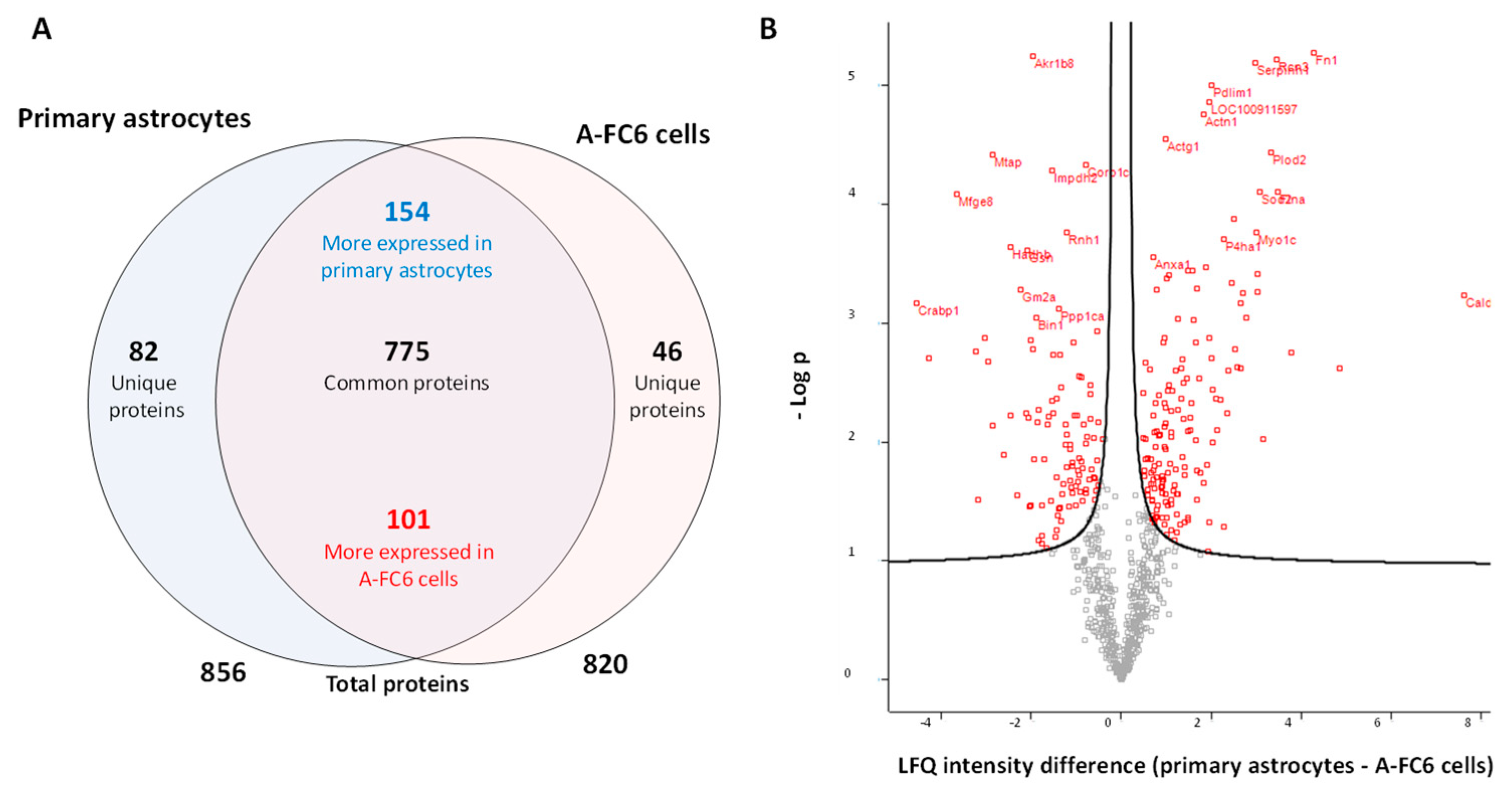 Genes 14 00990 g001