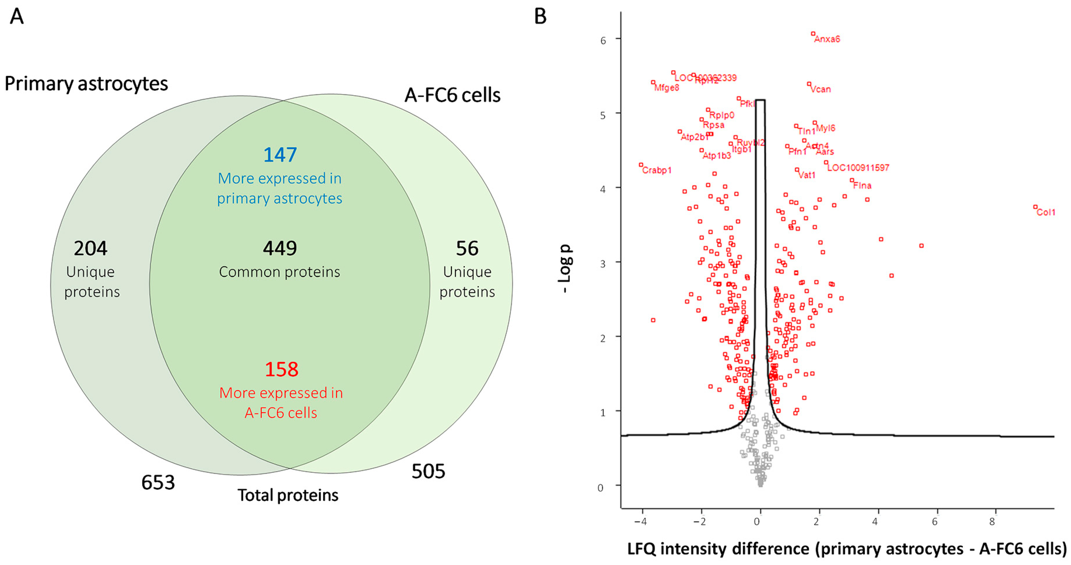 Genes 14 00990 g004