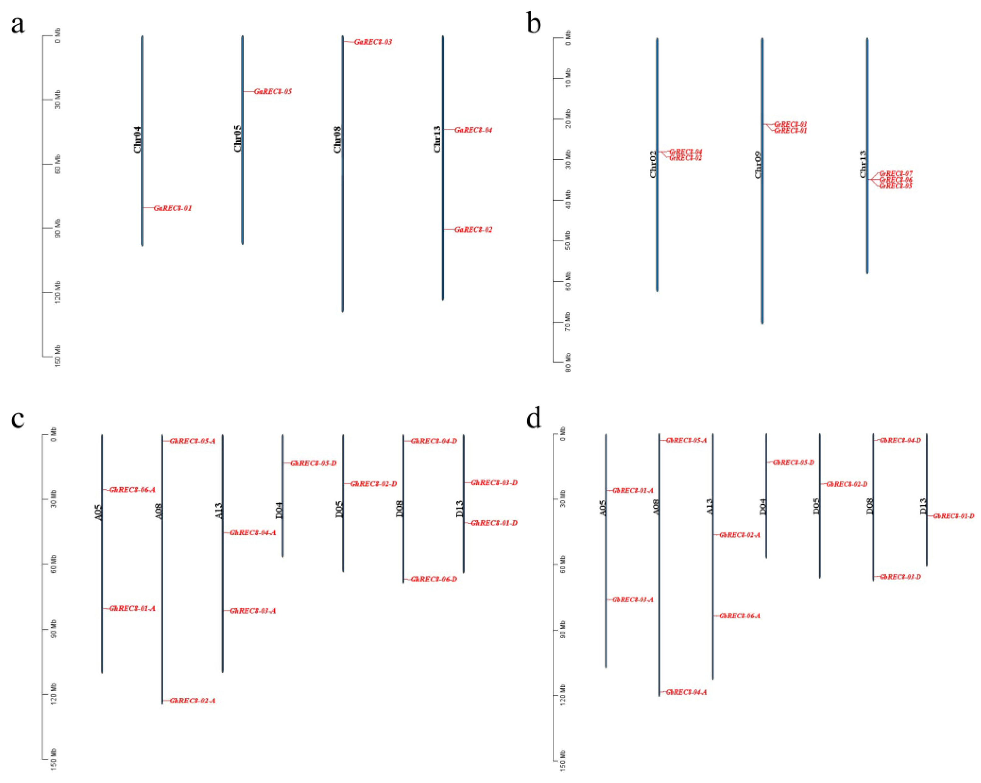 Genes 14 00993 g002 Genes 14 00993 g002