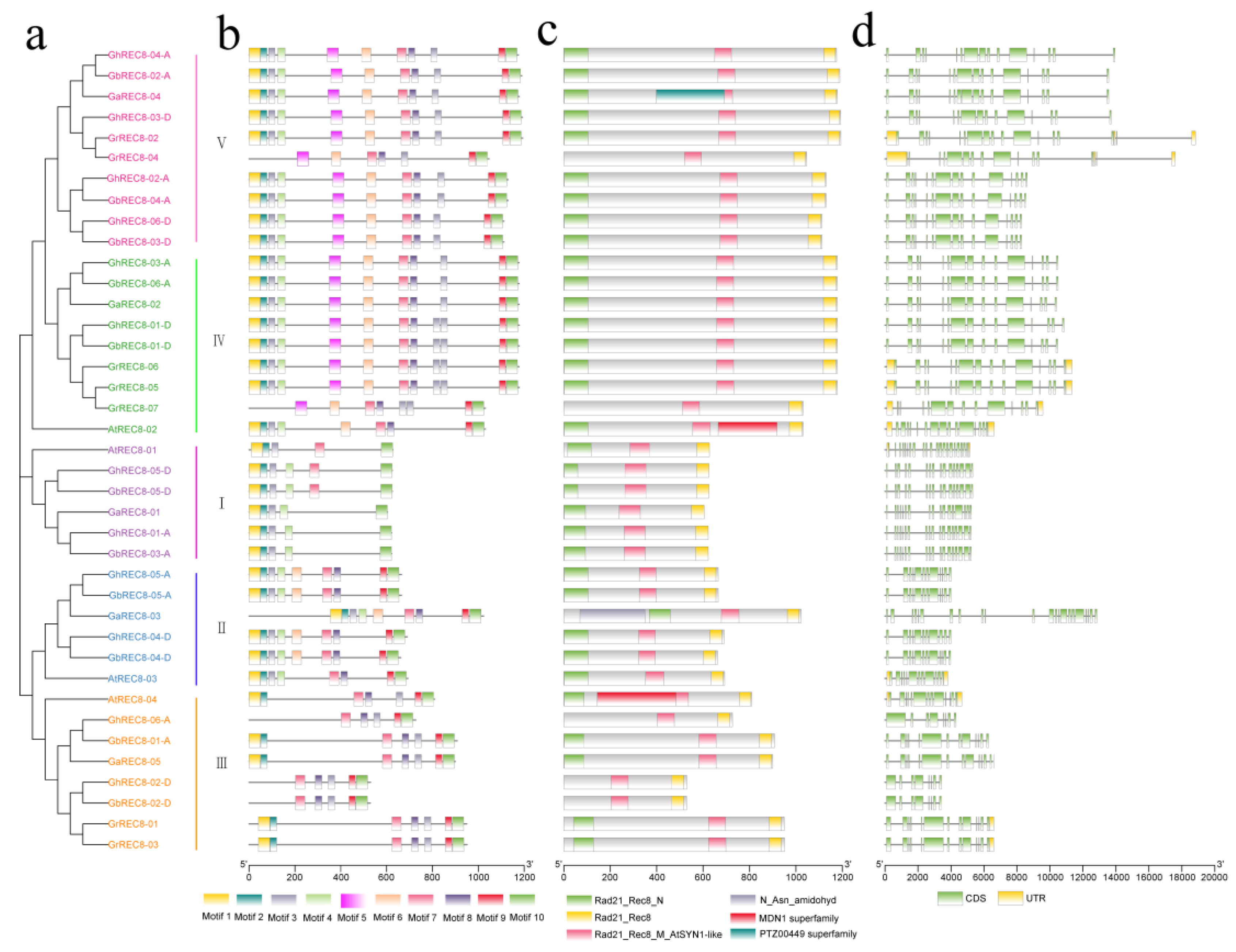 Genes 14 00993 g004 Genes 14 00993 g004