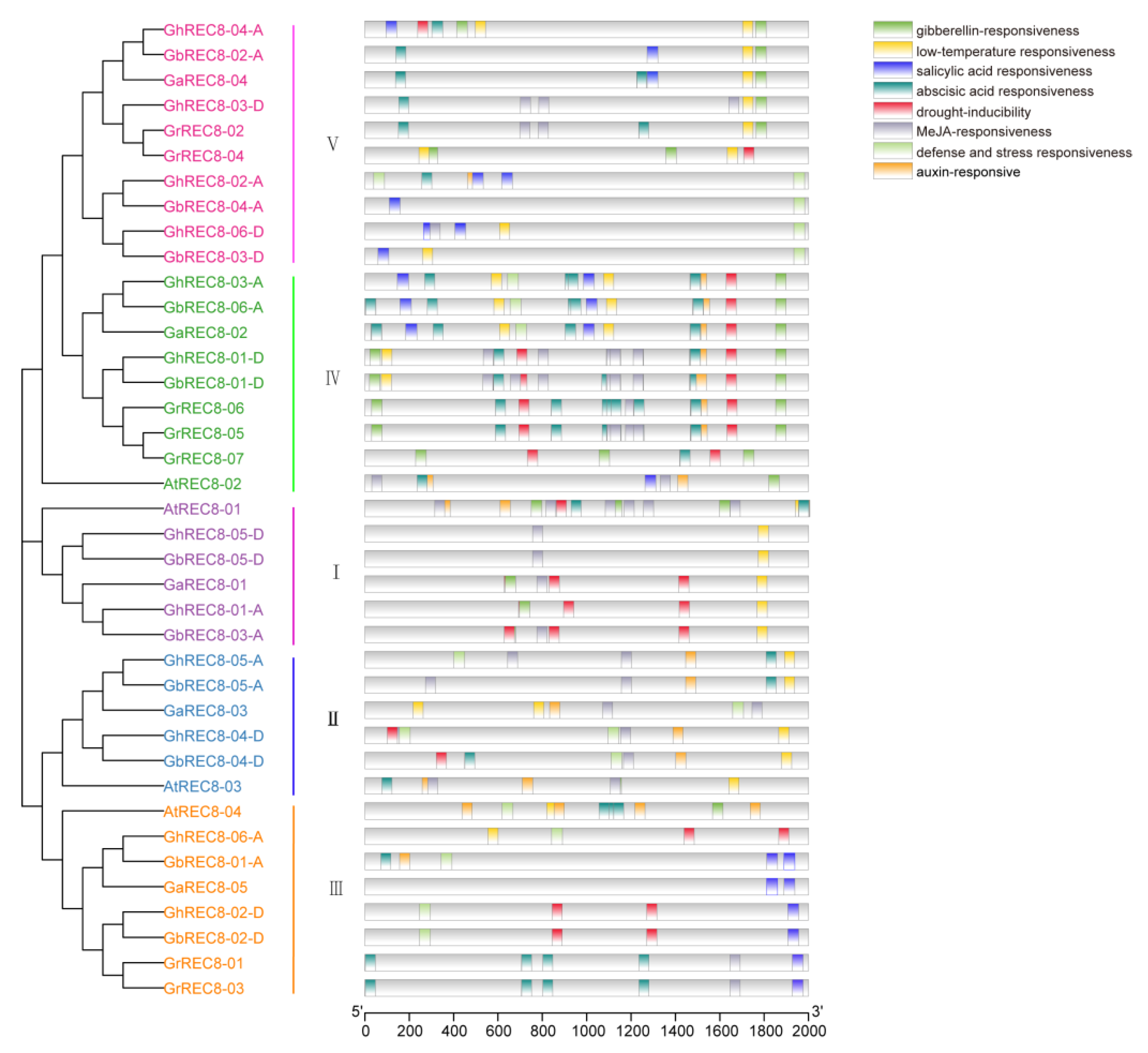 Genes 14 00993 g005 Genes 14 00993 g005
