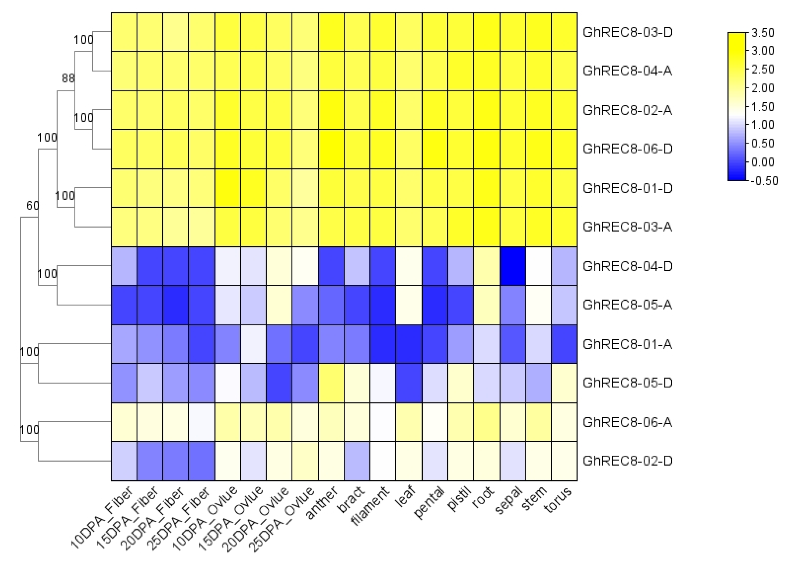Genes 14 00993 g006 Genes 14 00993 g006