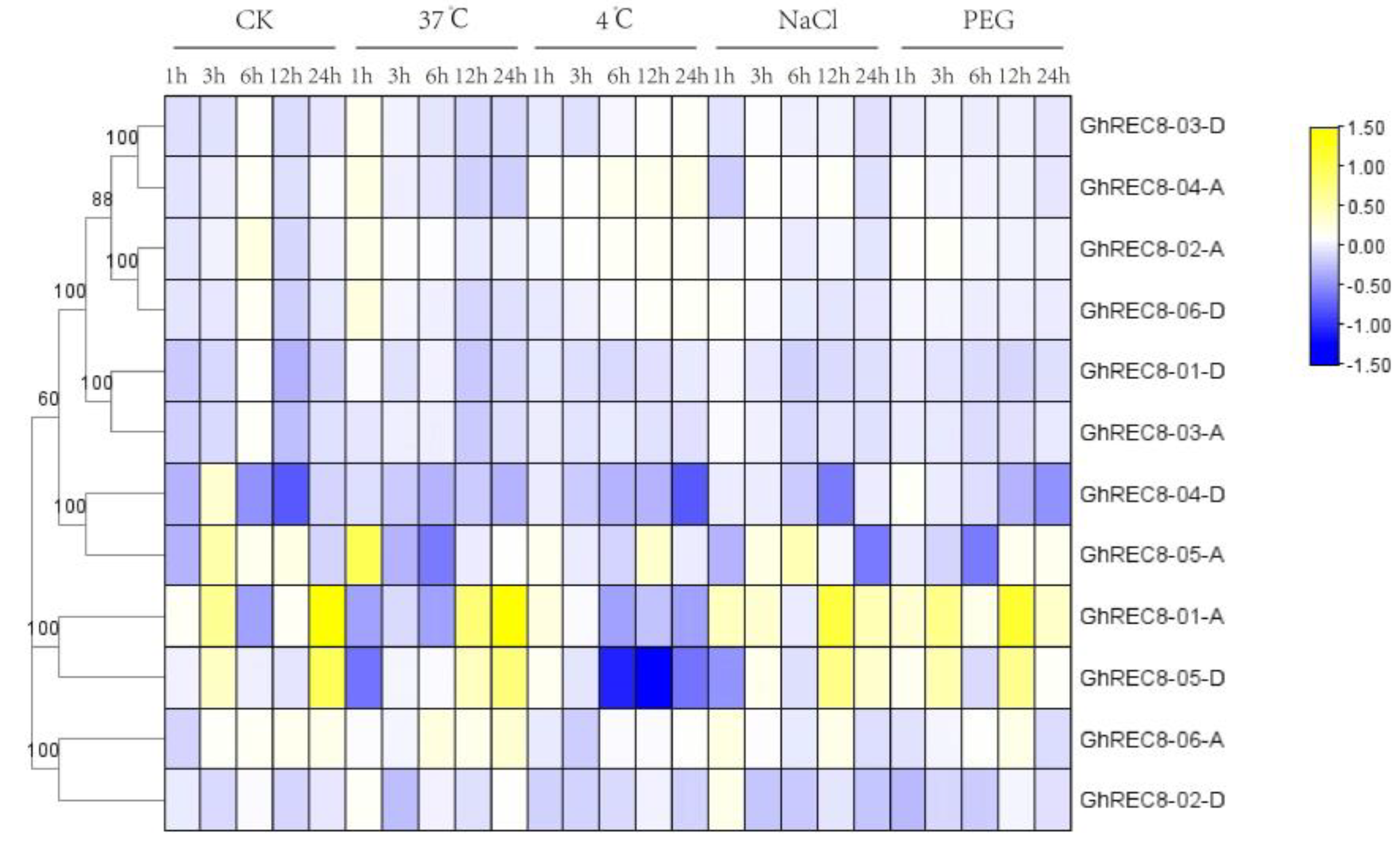 Genes 14 00993 g007 Genes 14 00993 g007