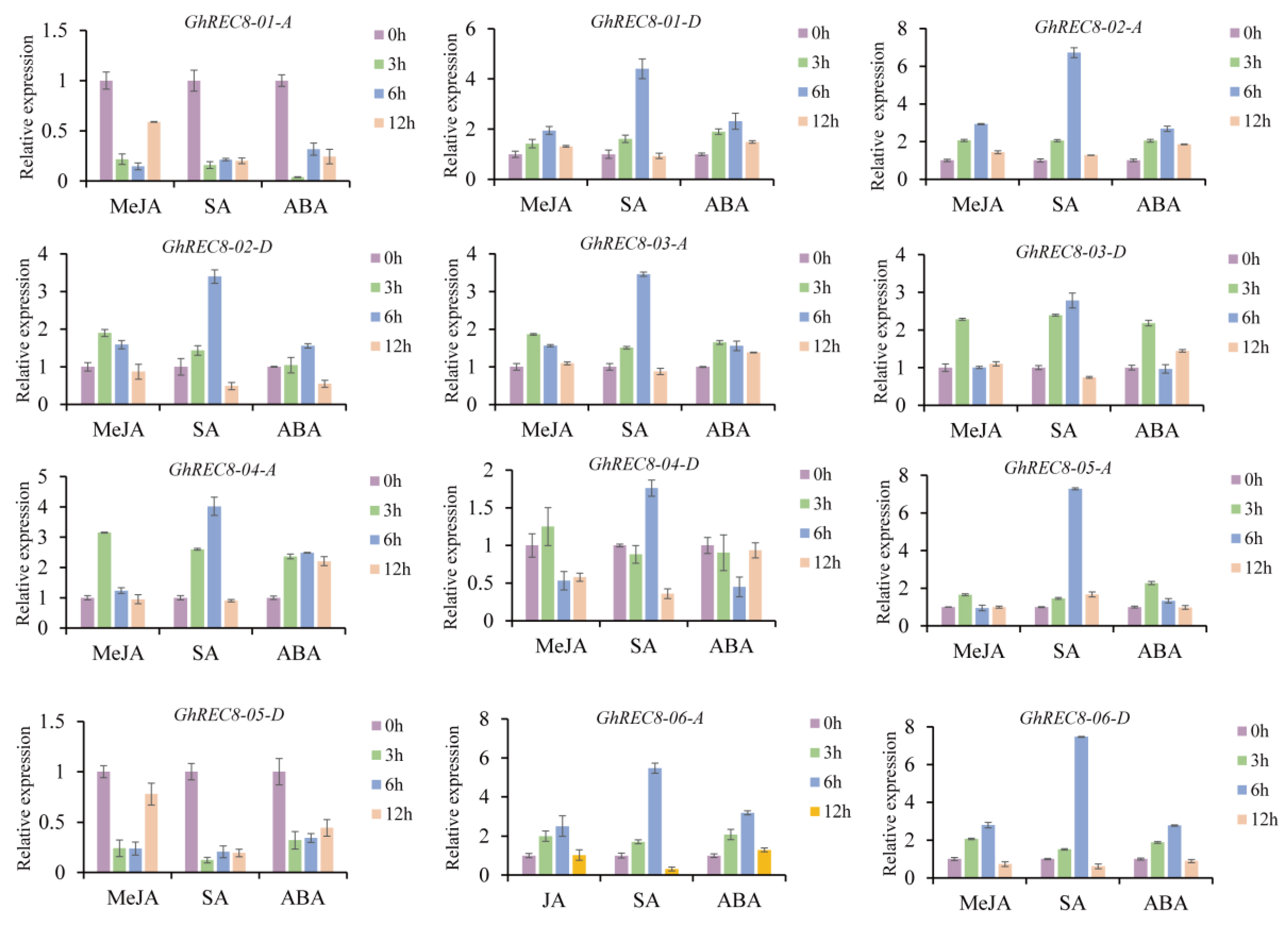 Genes 14 00993 g008 Genes 14 00993 g008