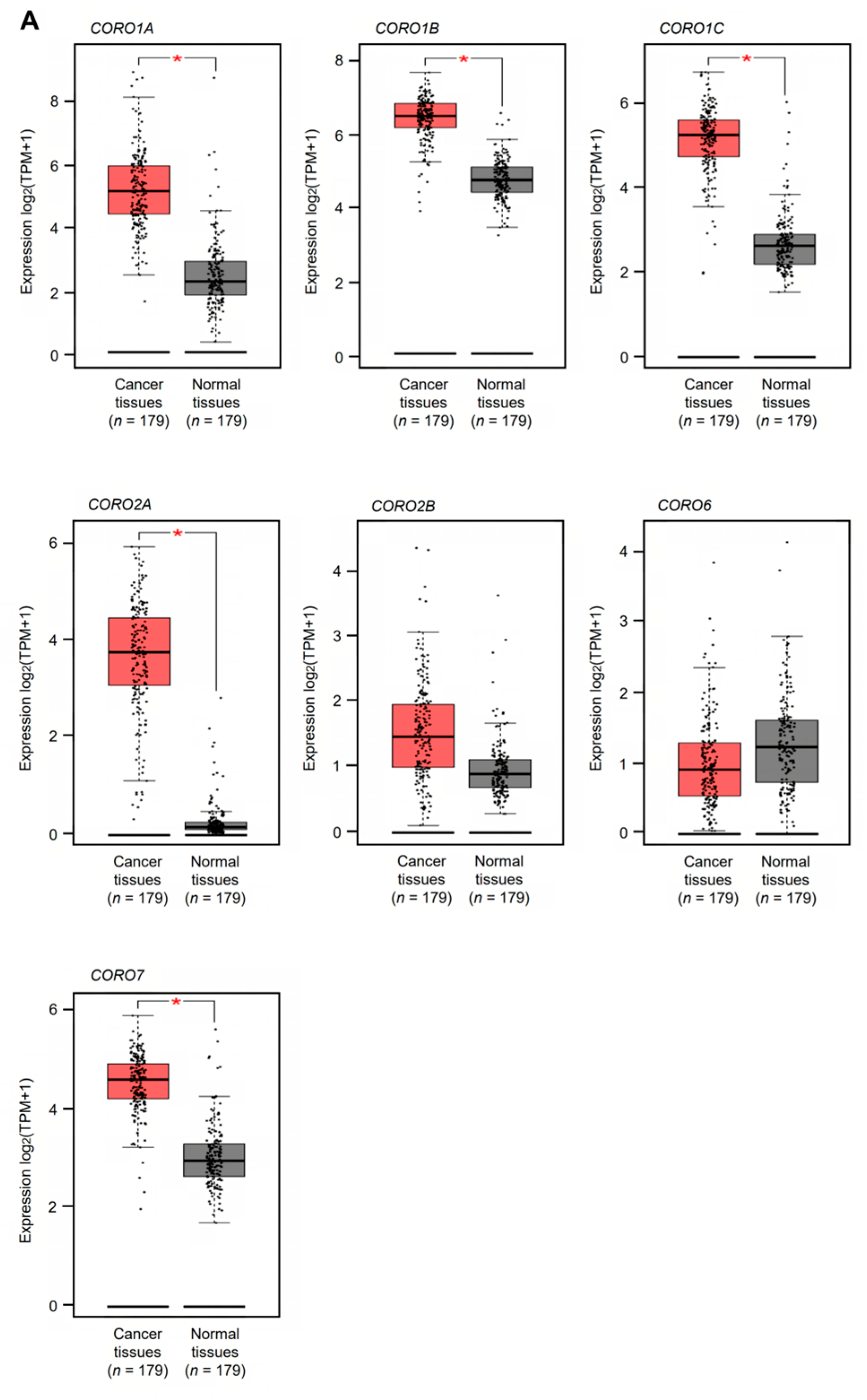 Genes 14 00995 g001a Genes 14 00995 g001a