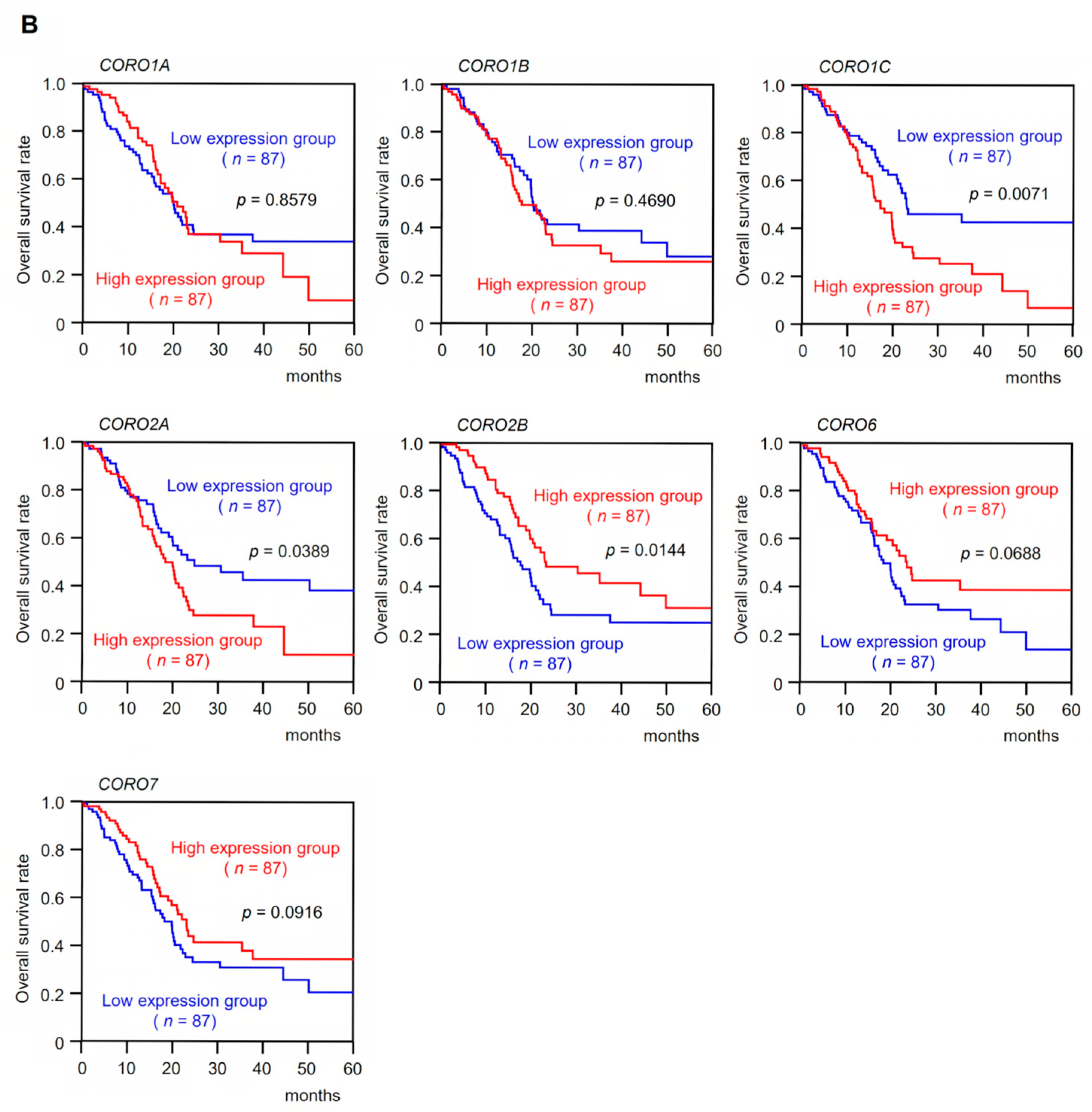 Genes 14 00995 g001b Genes 14 00995 g001b