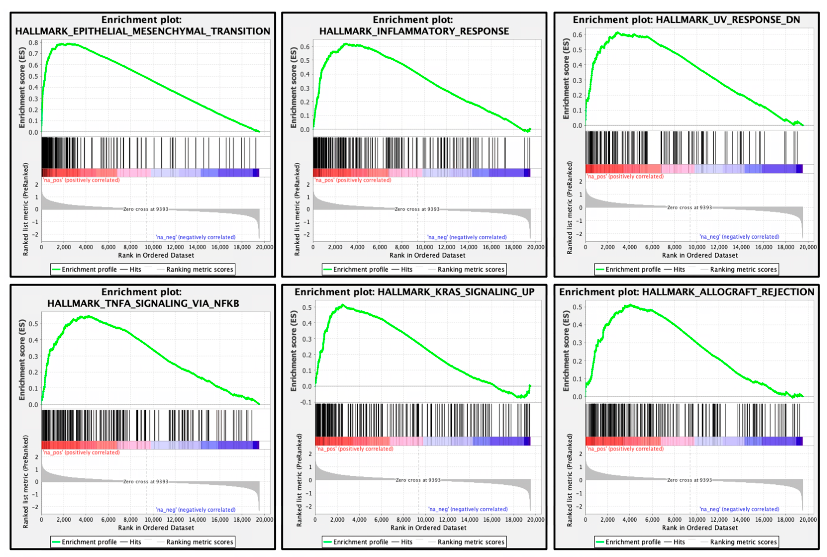 Genes 14 00995 g002 Genes 14 00995 g002