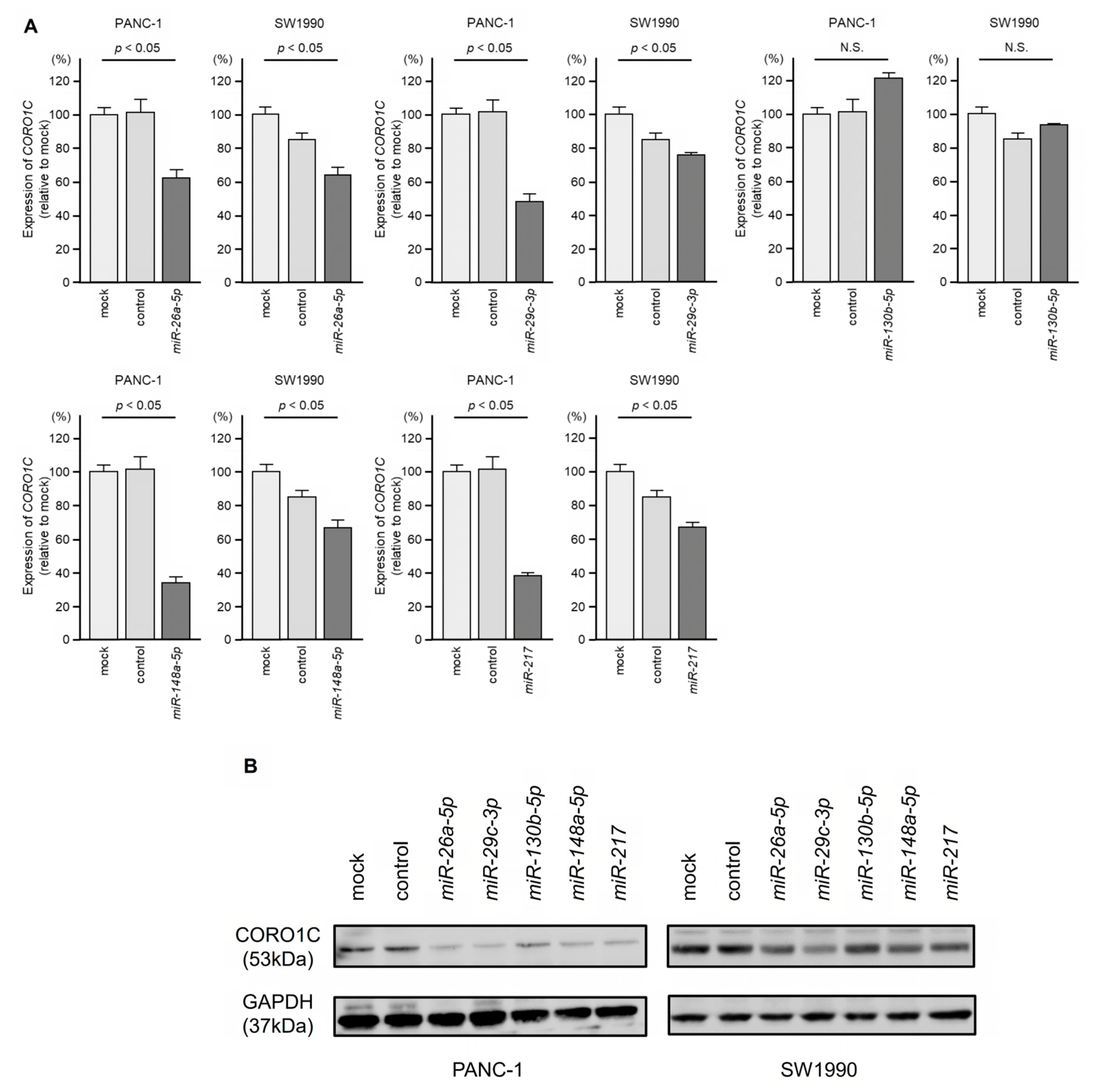 Genes 14 00995 g006 Genes 14 00995 g006