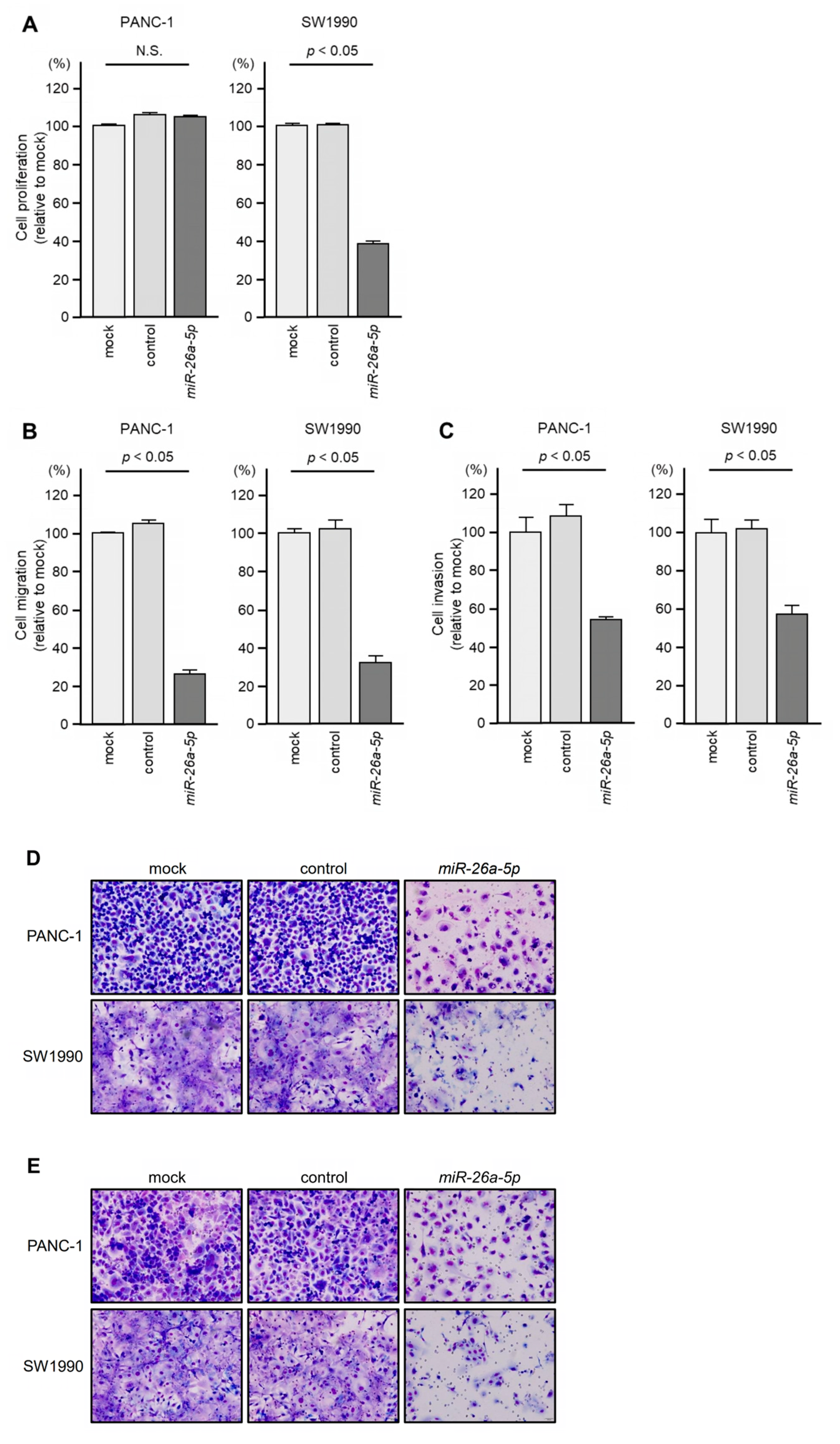 Genes 14 00995 g007 Genes 14 00995 g007