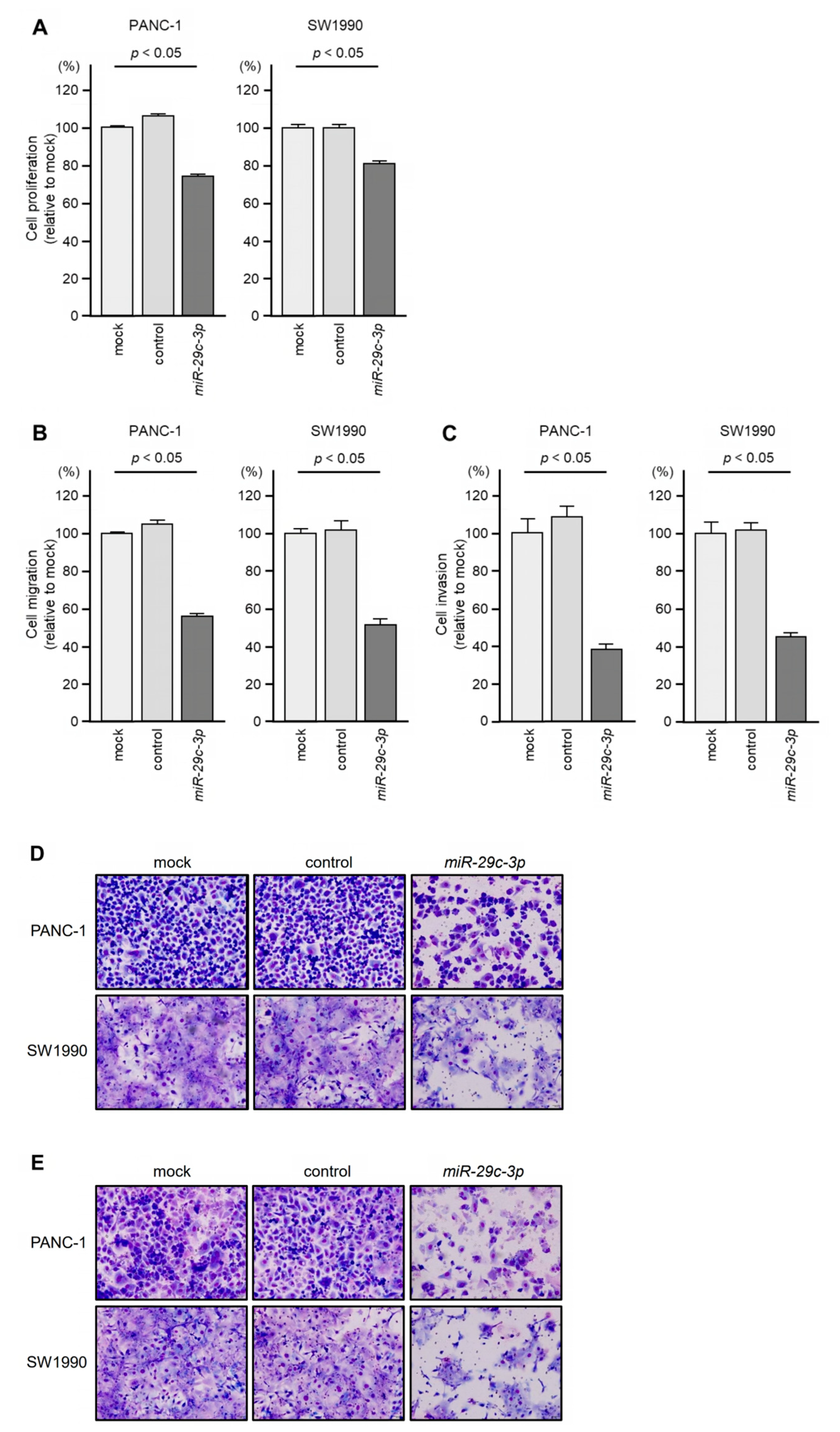Genes 14 00995 g008 Genes 14 00995 g008