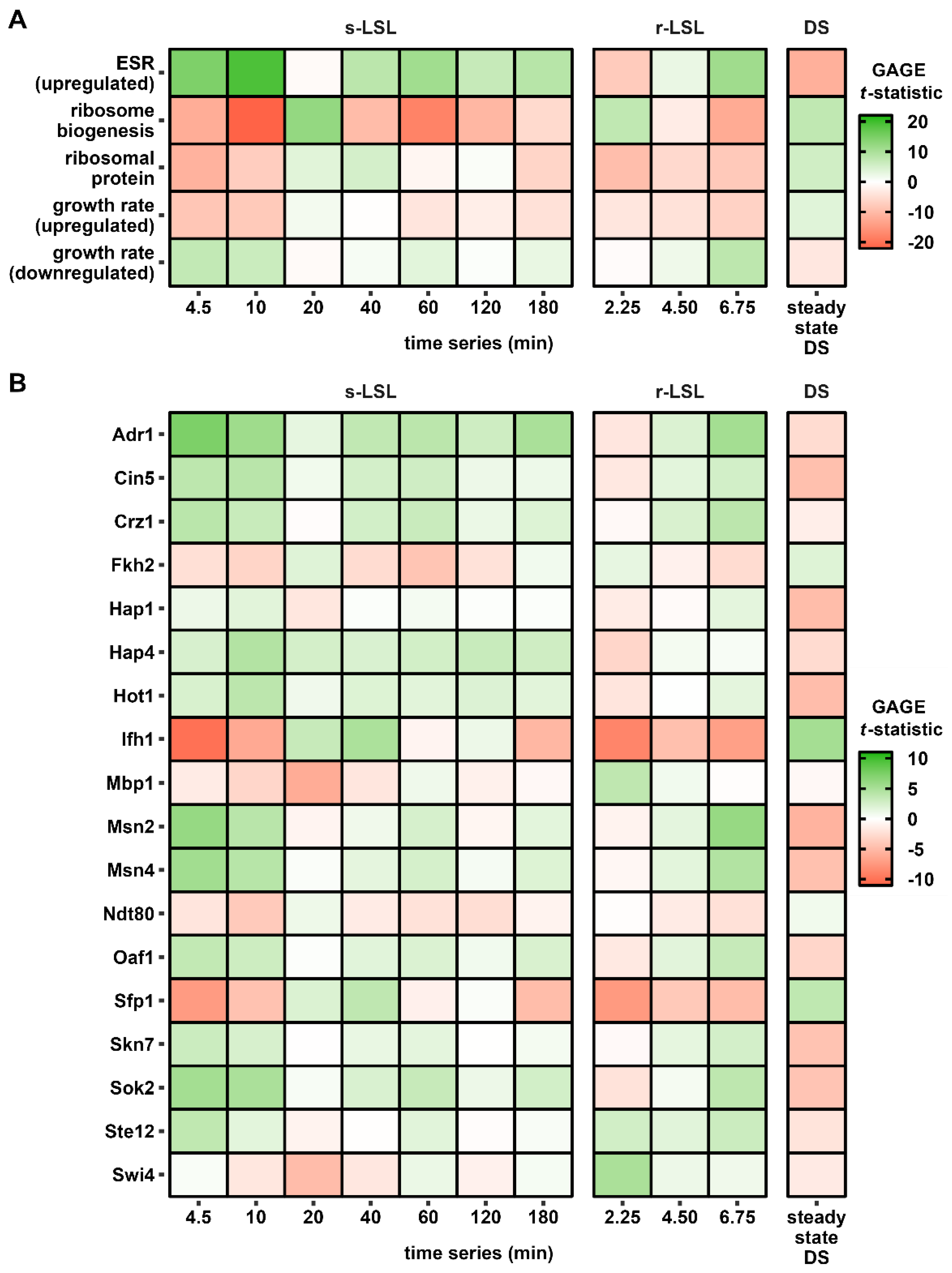 Genes 14 00997 g006 Genes 14 00997 g006