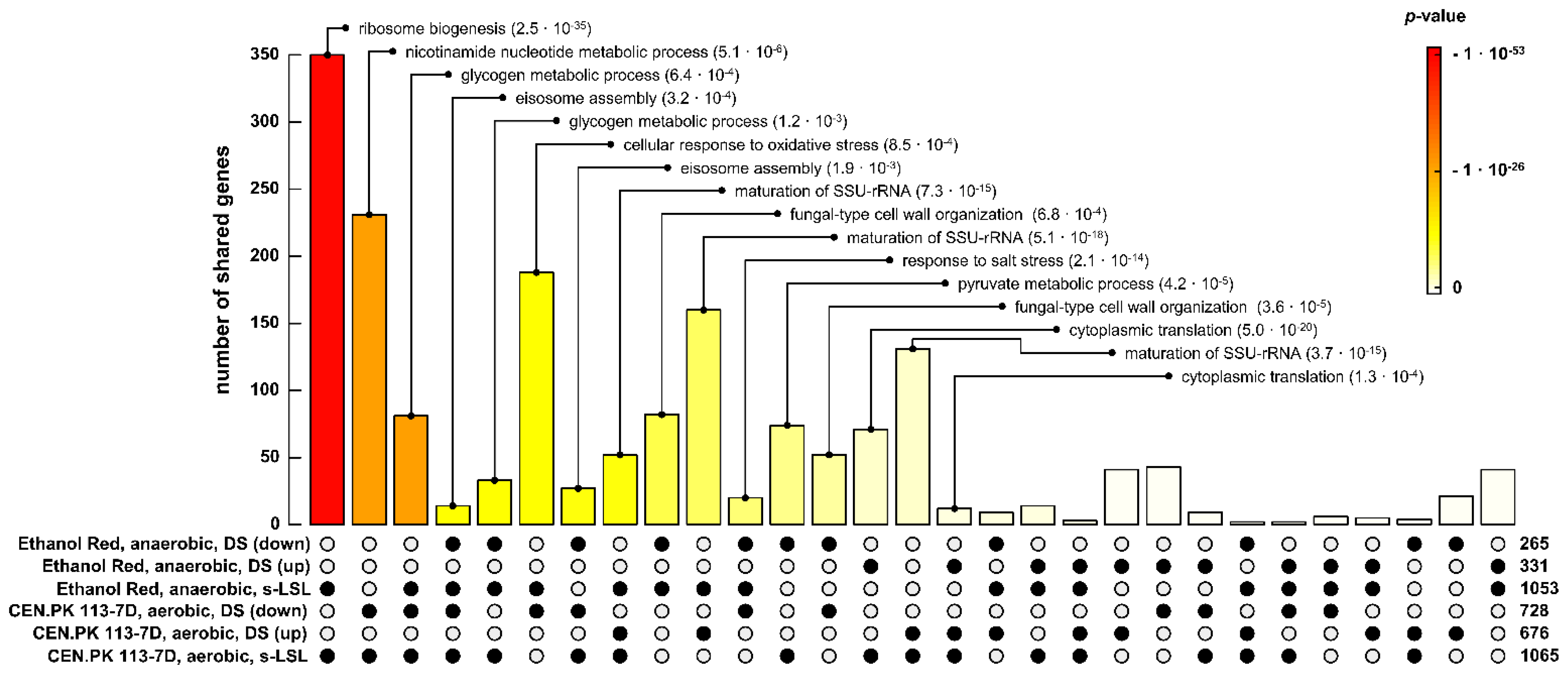 Genes 14 00997 g008 Genes 14 00997 g008