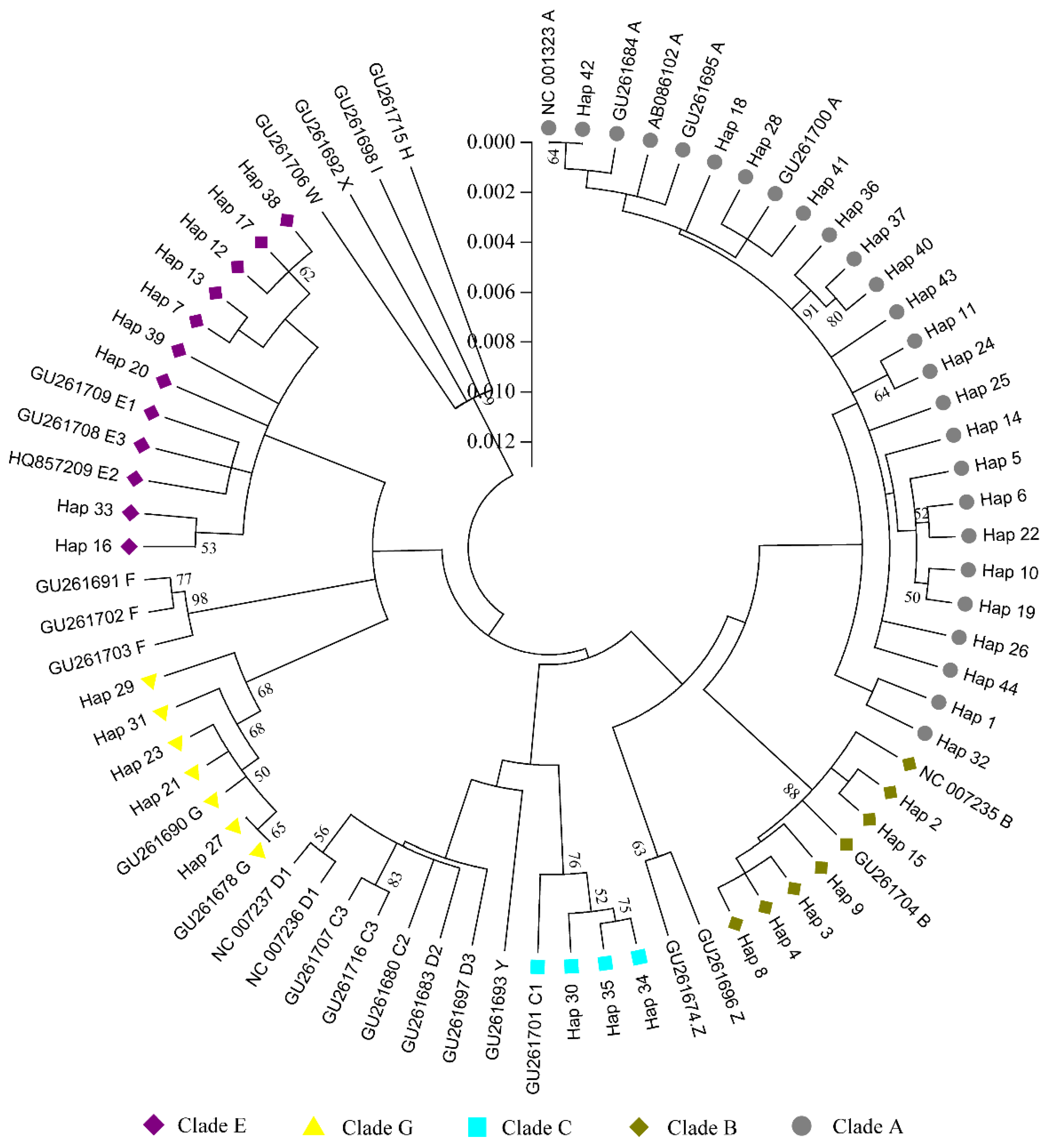 Genes 14 00998 g003 Genes 14 00998 g003