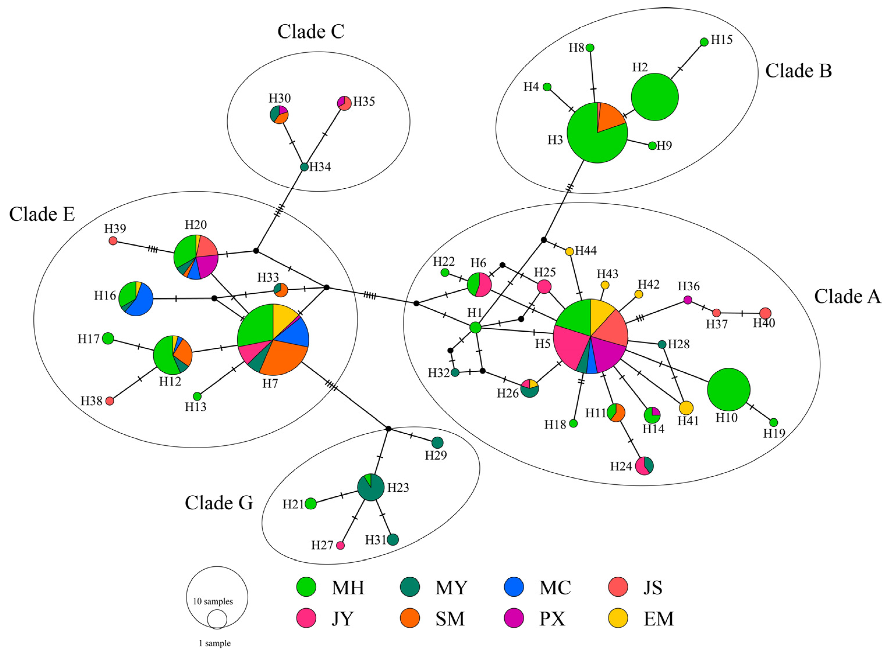 Genes 14 00998 g004 Genes 14 00998 g004