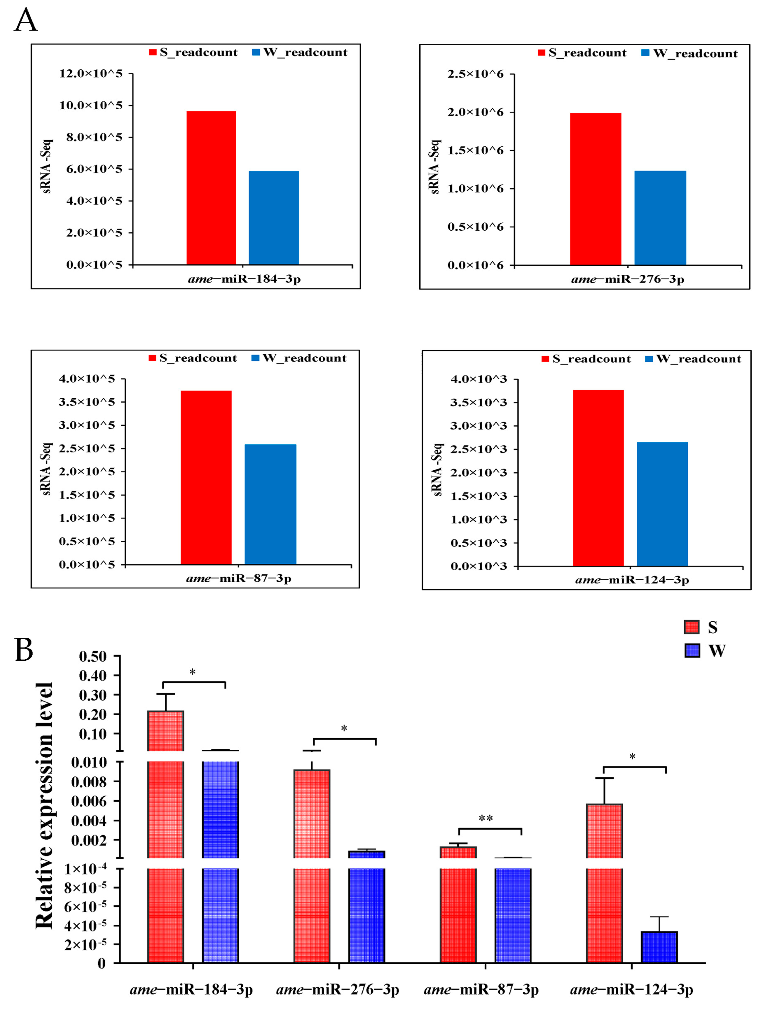 Genes 14 01000 g004 Genes 14 01000 g004