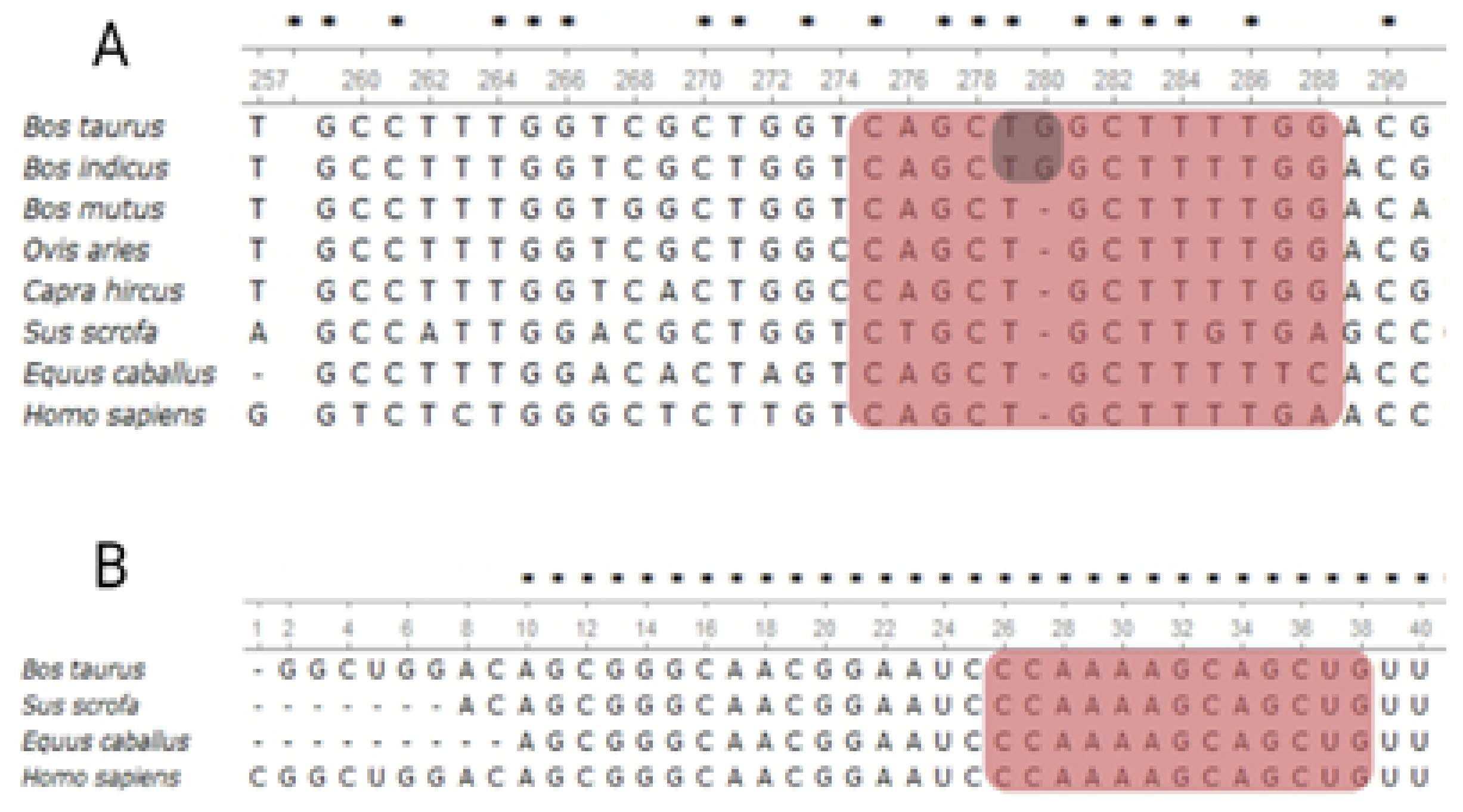 Genes 14 01004 g001 Genes 14 01004 g001