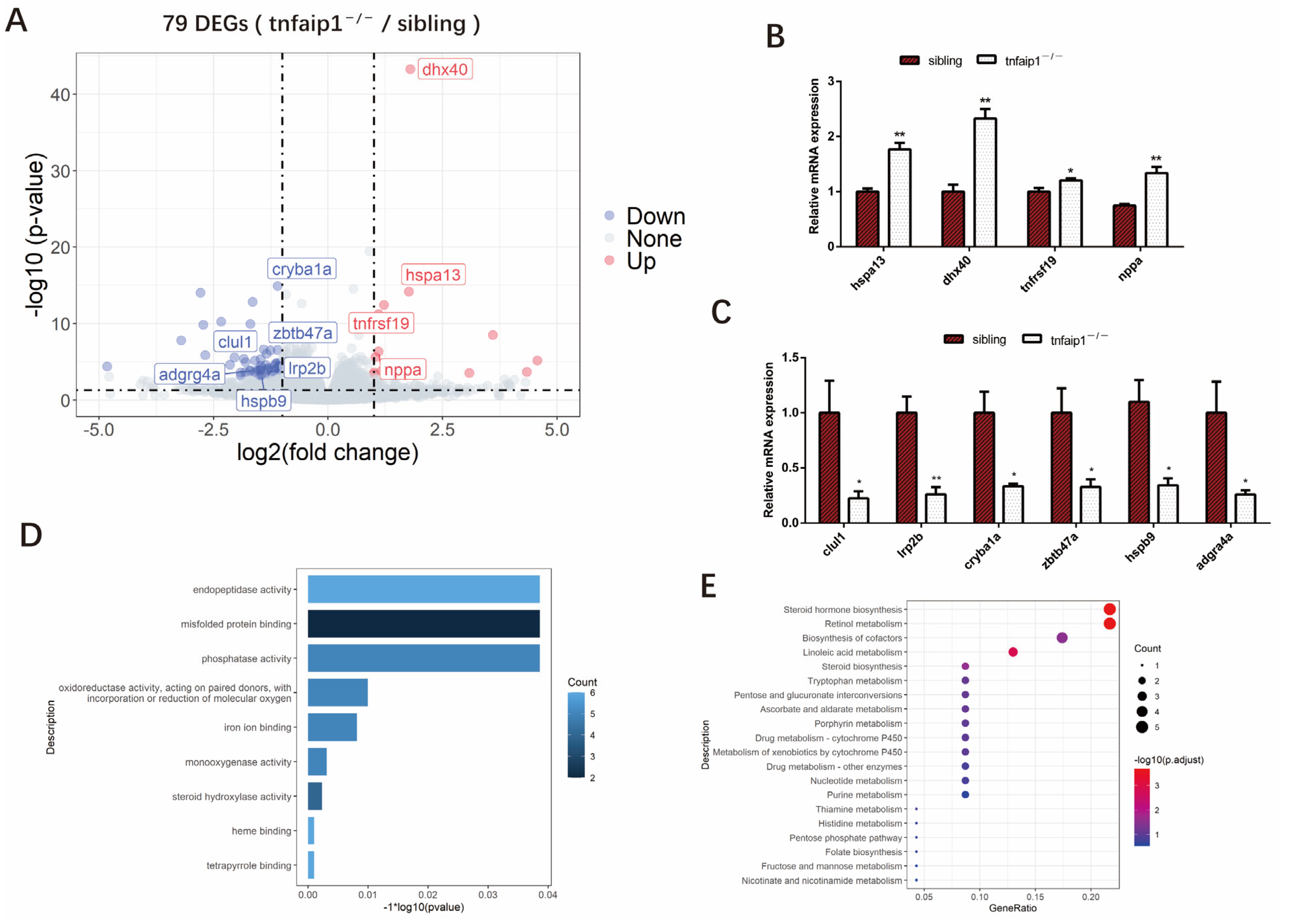 Genes 14 01005 g005