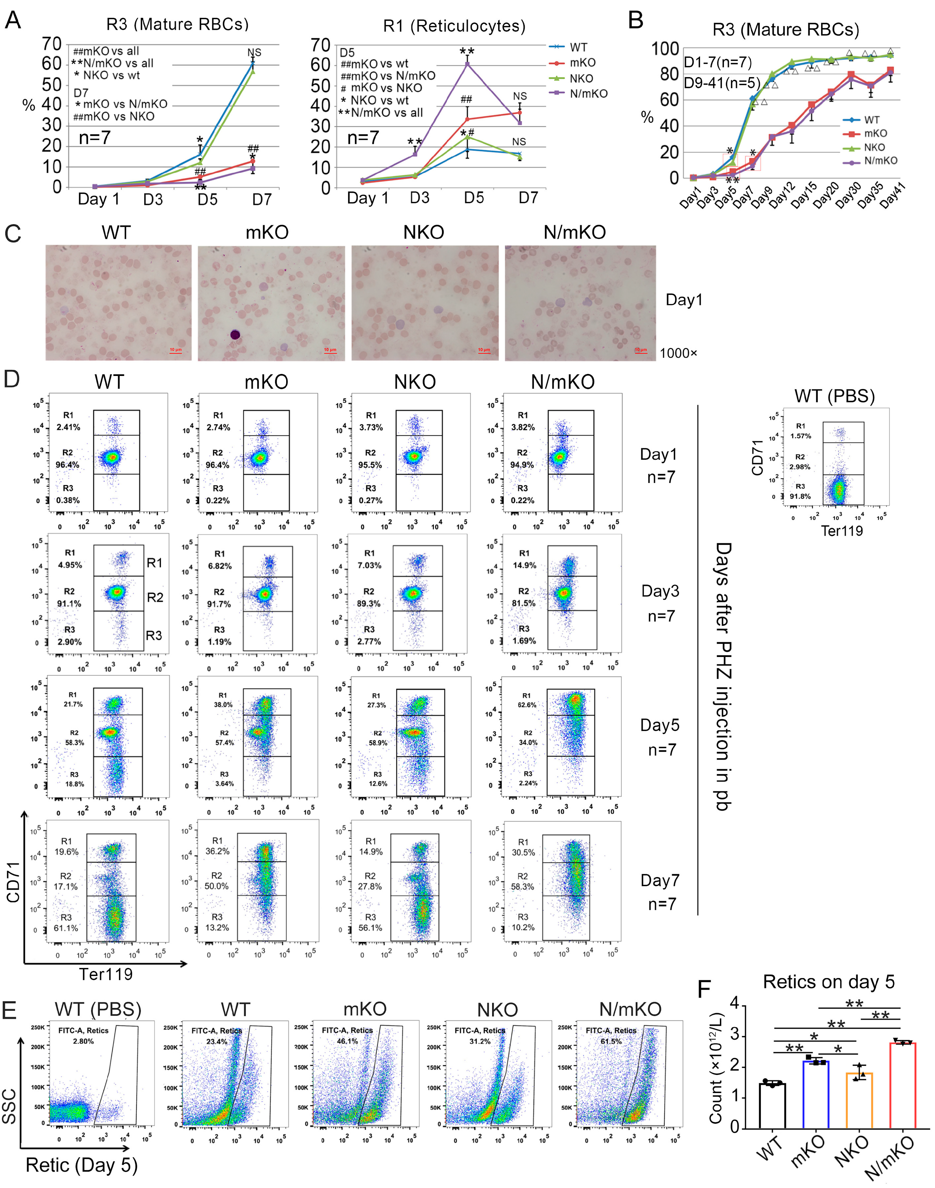 Genes 14 01011 g002 Genes 14 01011 g002