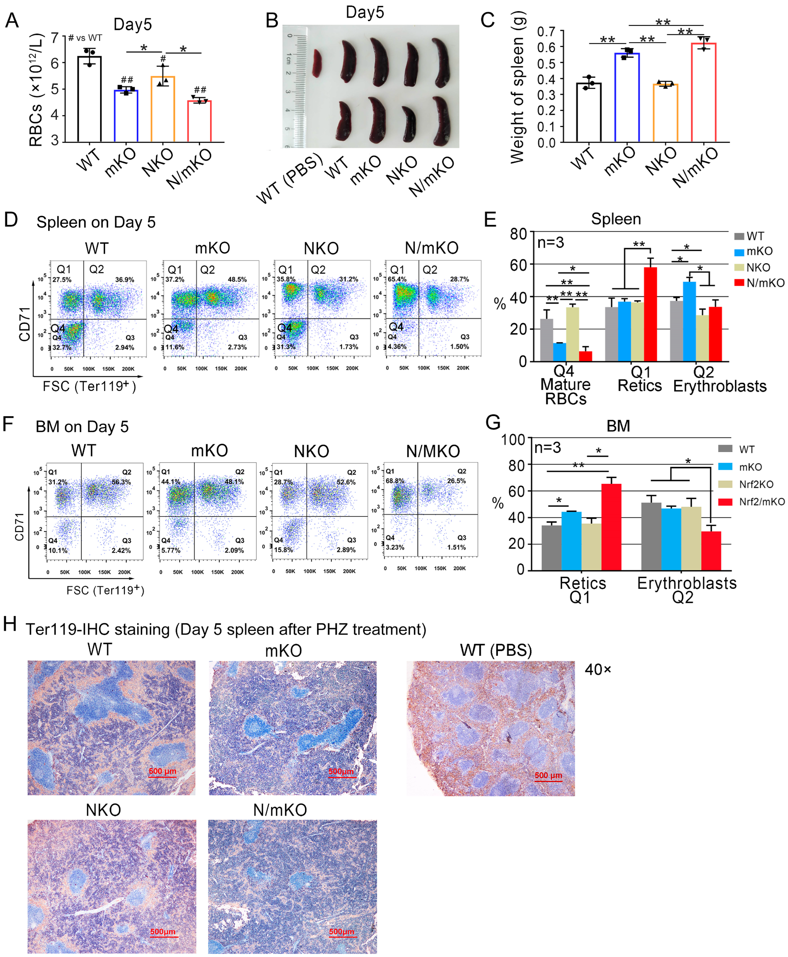 Genes 14 01011 g003 Genes 14 01011 g003