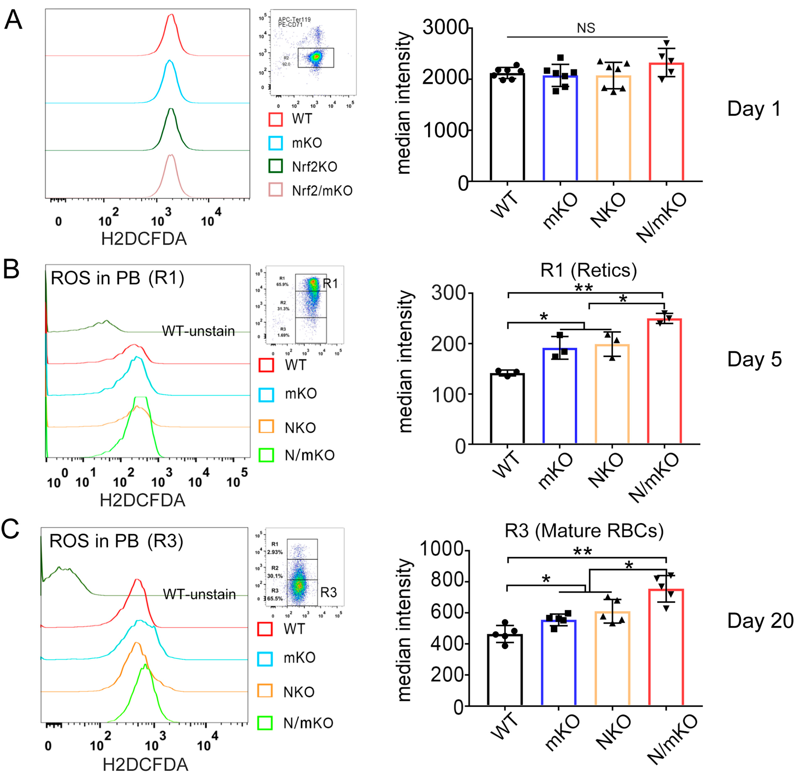 Genes 14 01011 g004 Genes 14 01011 g004