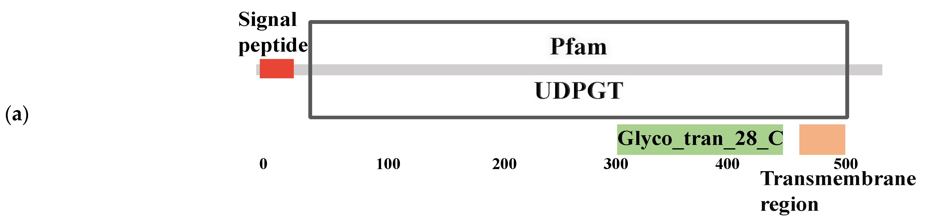 Genes 14 01013 g004a Genes 14 01013 g004a