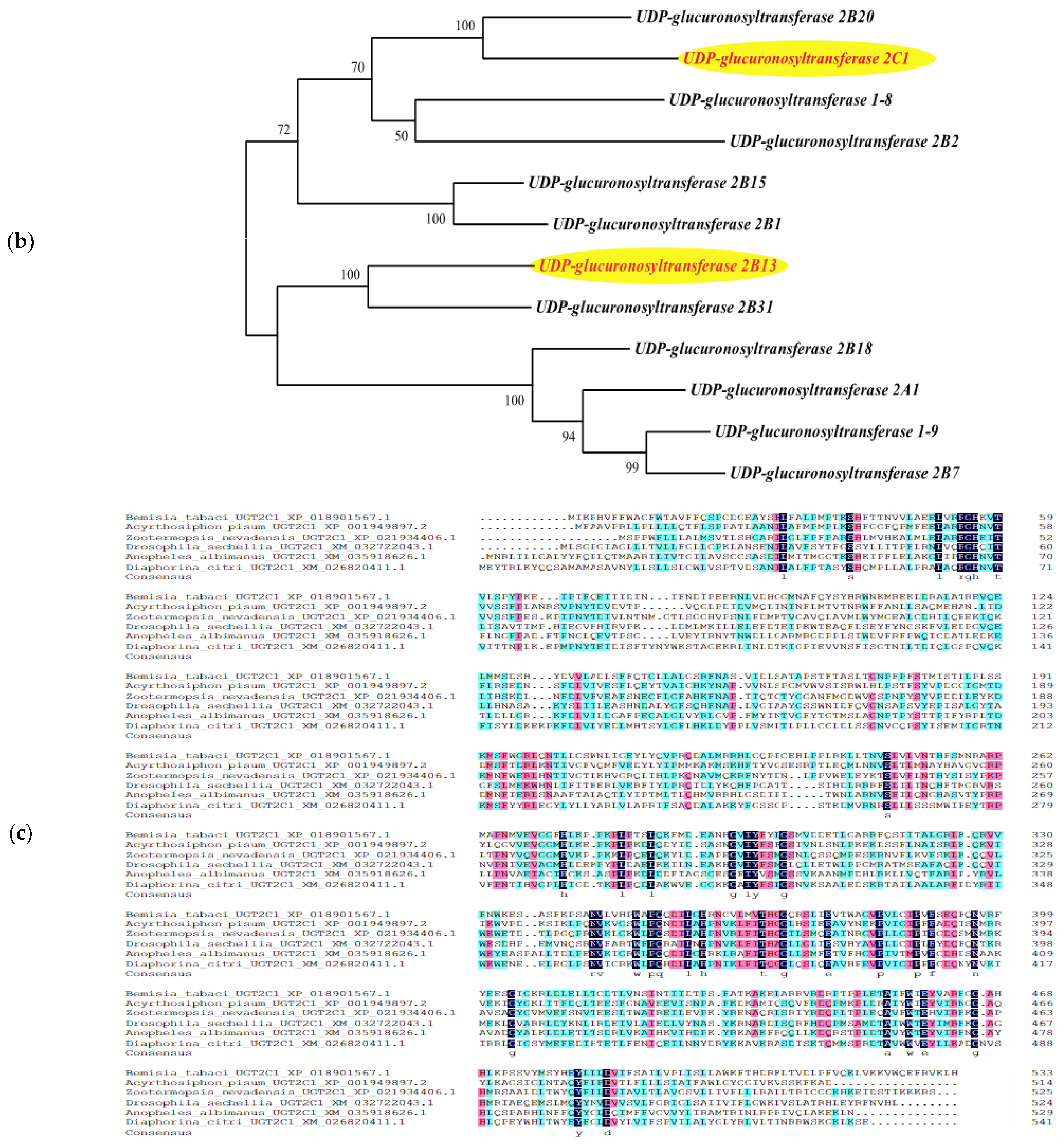 Genes 14 01013 g004b Genes 14 01013 g004b