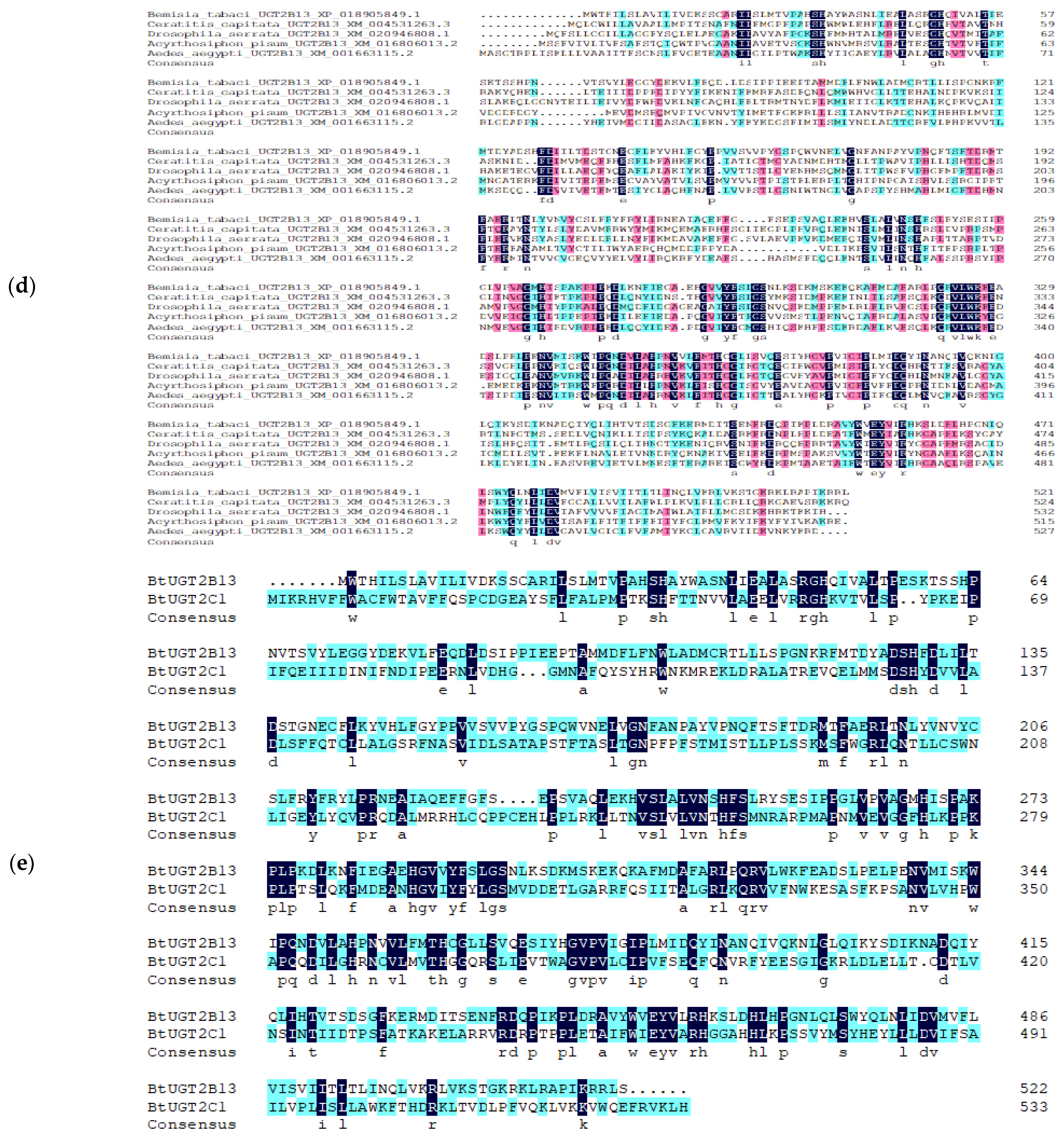 Genes 14 01013 g004c Genes 14 01013 g004c