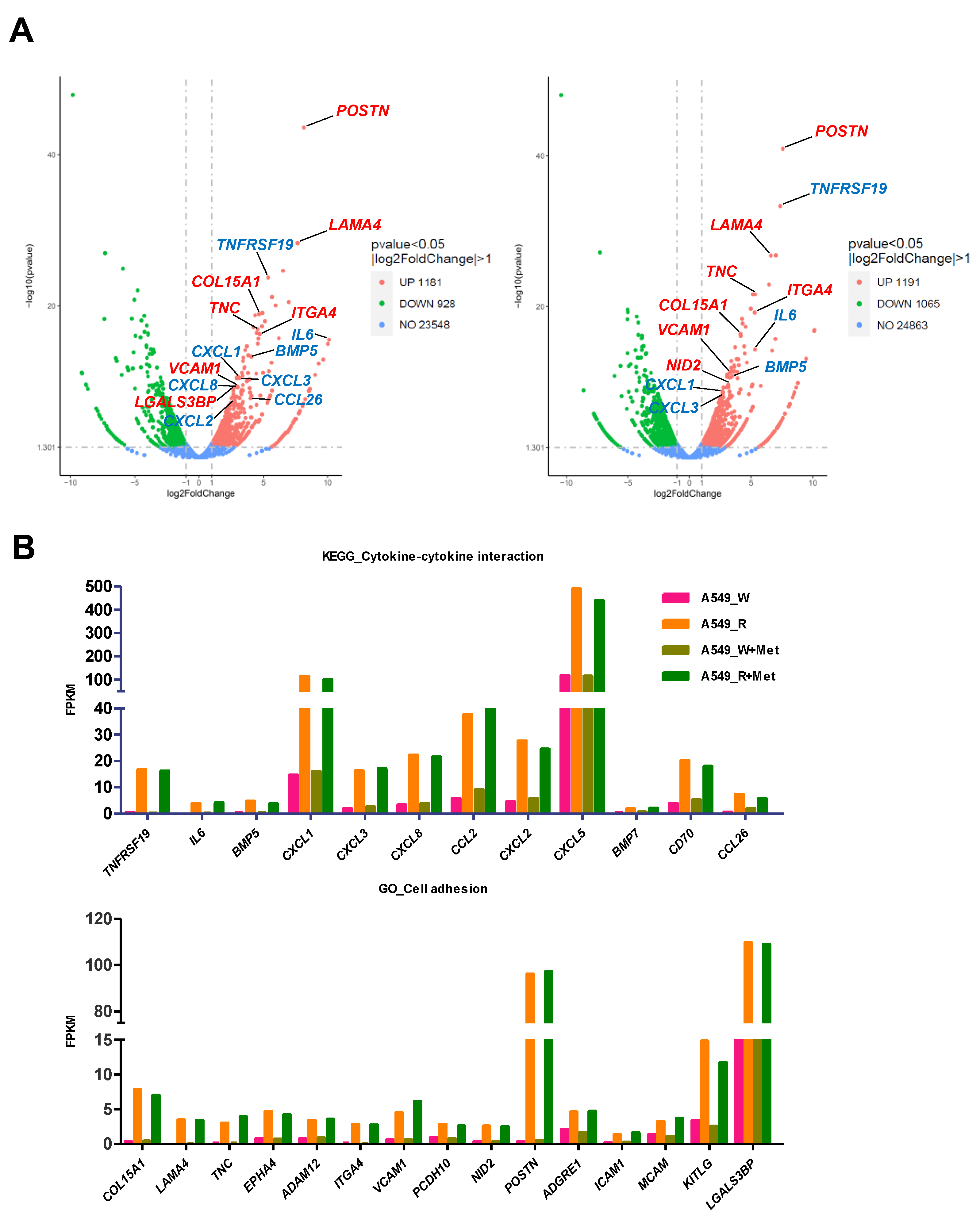 Genes 14 01014 g004 Genes 14 01014 g004