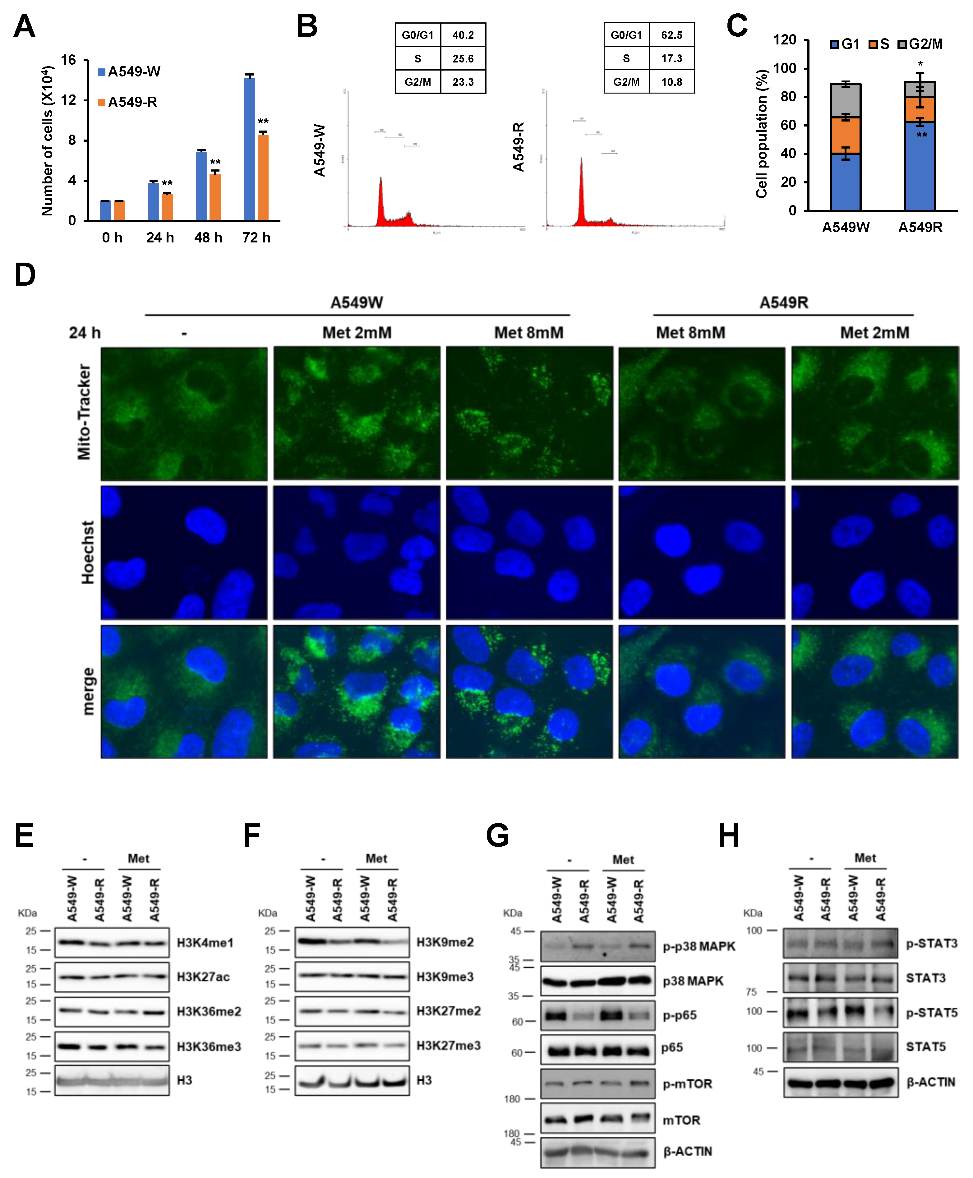 Genes 14 01014 g007 Genes 14 01014 g007