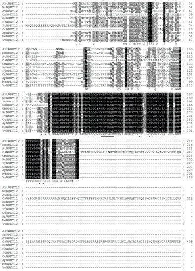 Molecular Cloning and Characterization of WRKY12, A Pathogen Induced ...