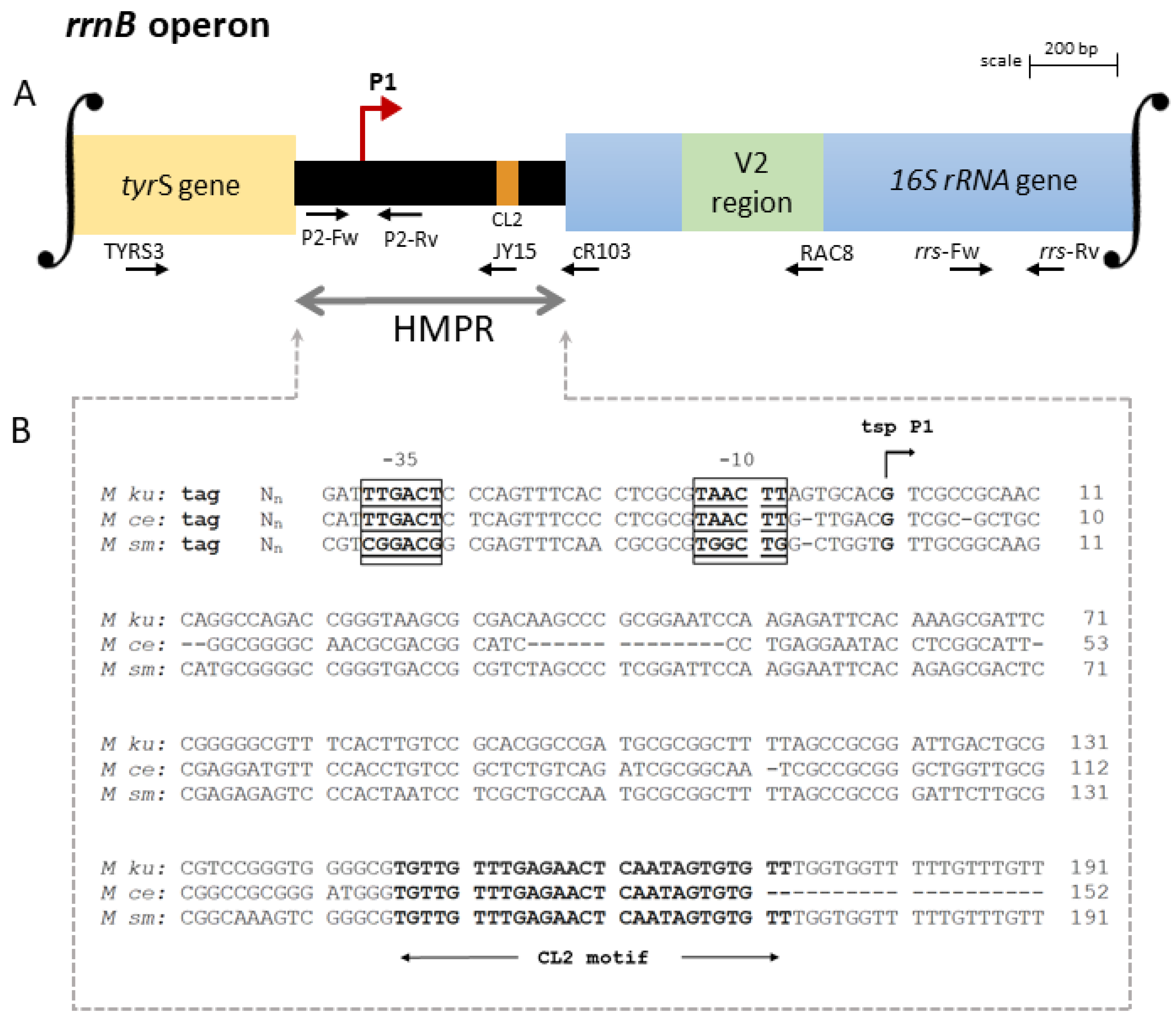 Genes 14 01023 g002 Genes 14 01023 g002