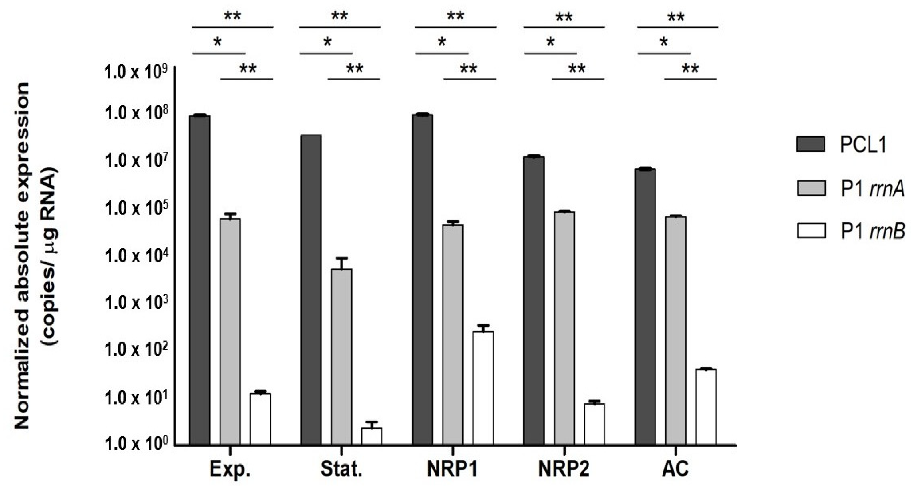 Genes 14 01023 g003 Genes 14 01023 g003