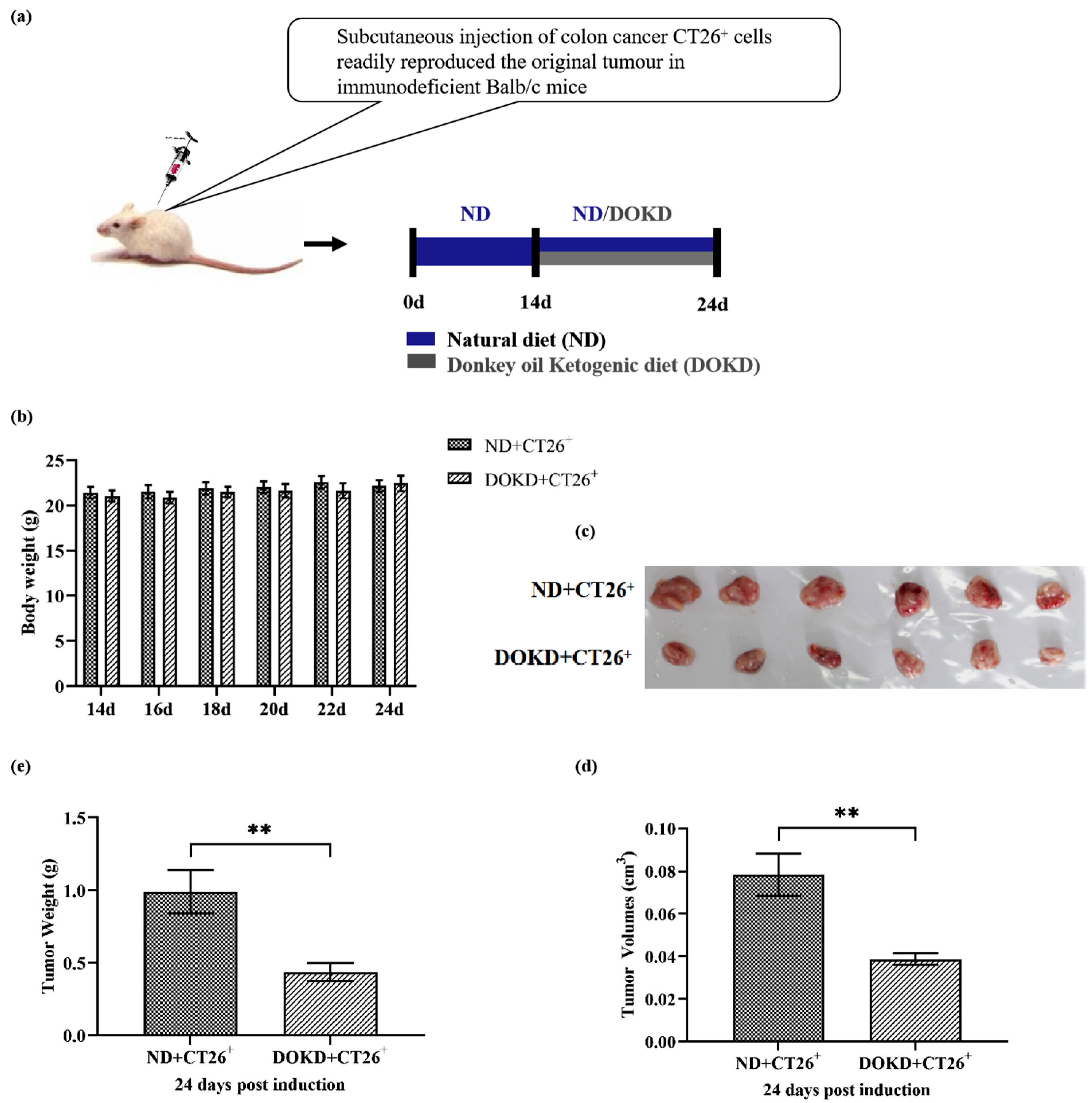 Genes 14 01024 g001 Genes 14 01024 g001
