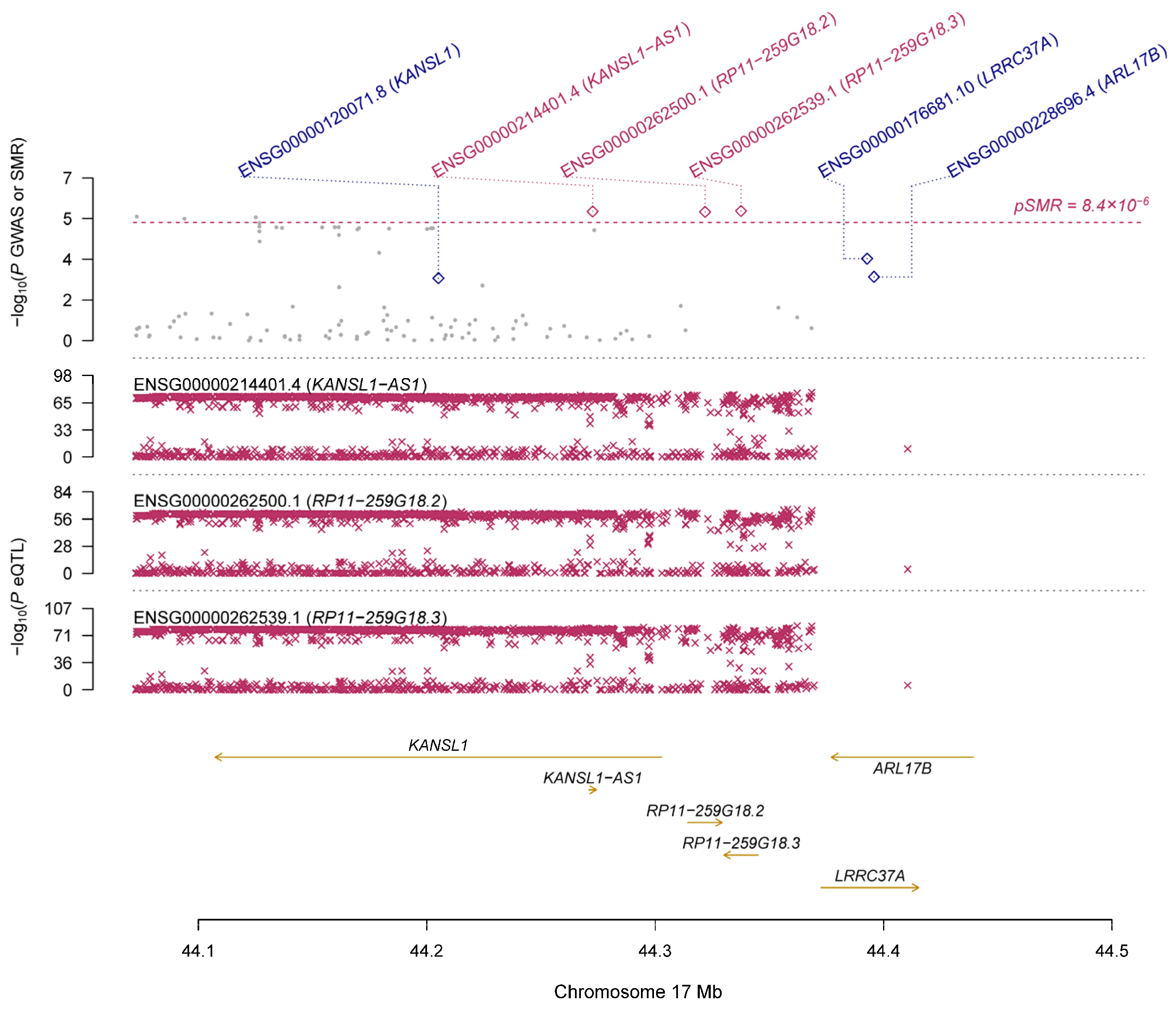 Genes 14 01027 g002 Genes 14 01027 g002