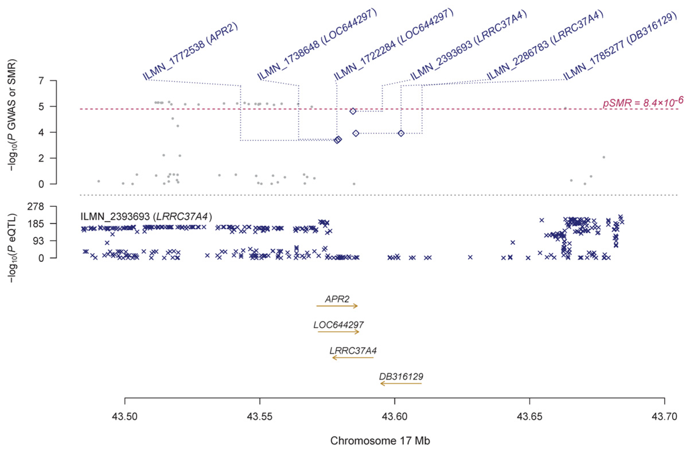Genes 14 01027 g003 Genes 14 01027 g003
