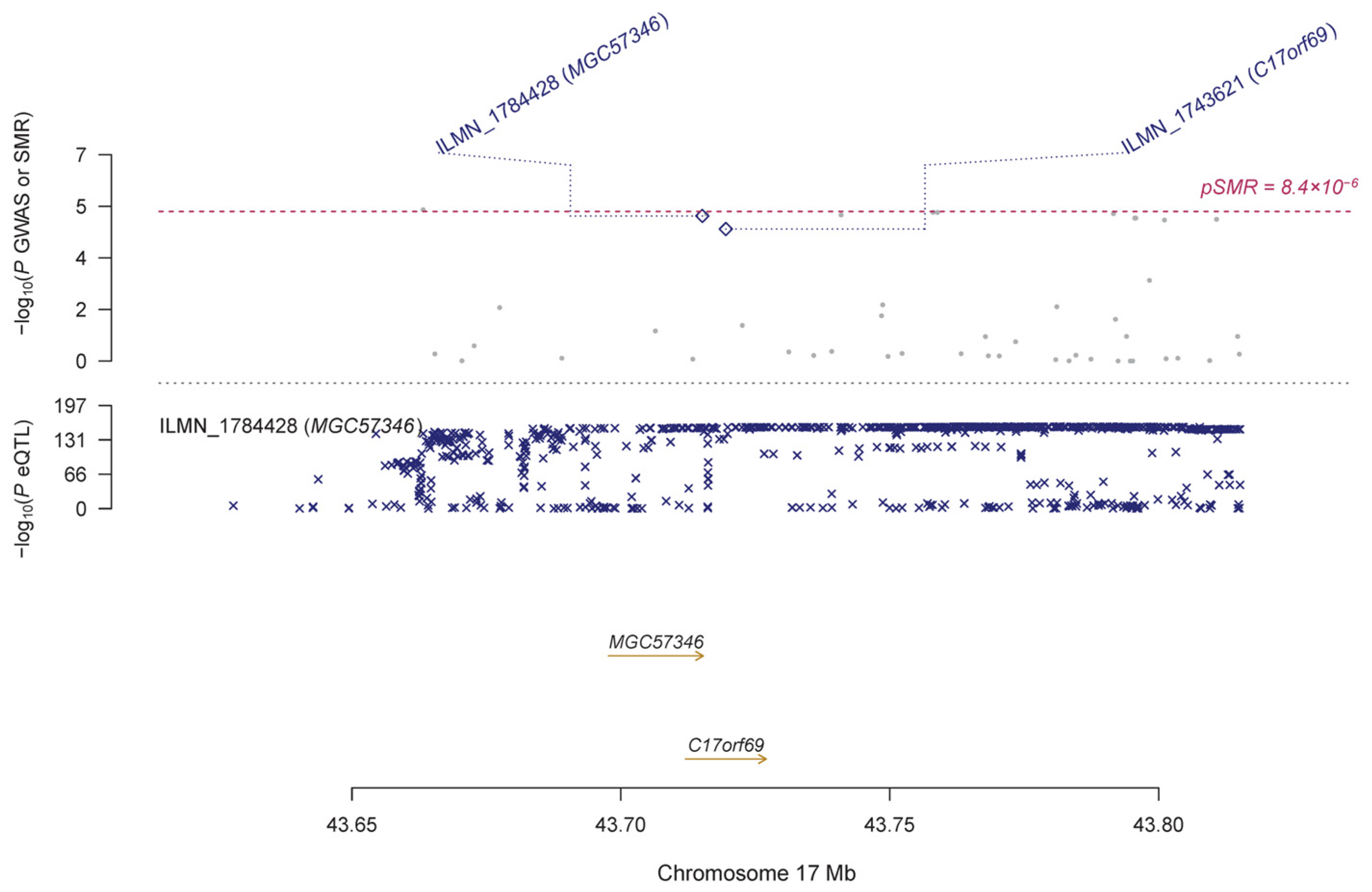 Genes 14 01027 g004 Genes 14 01027 g004