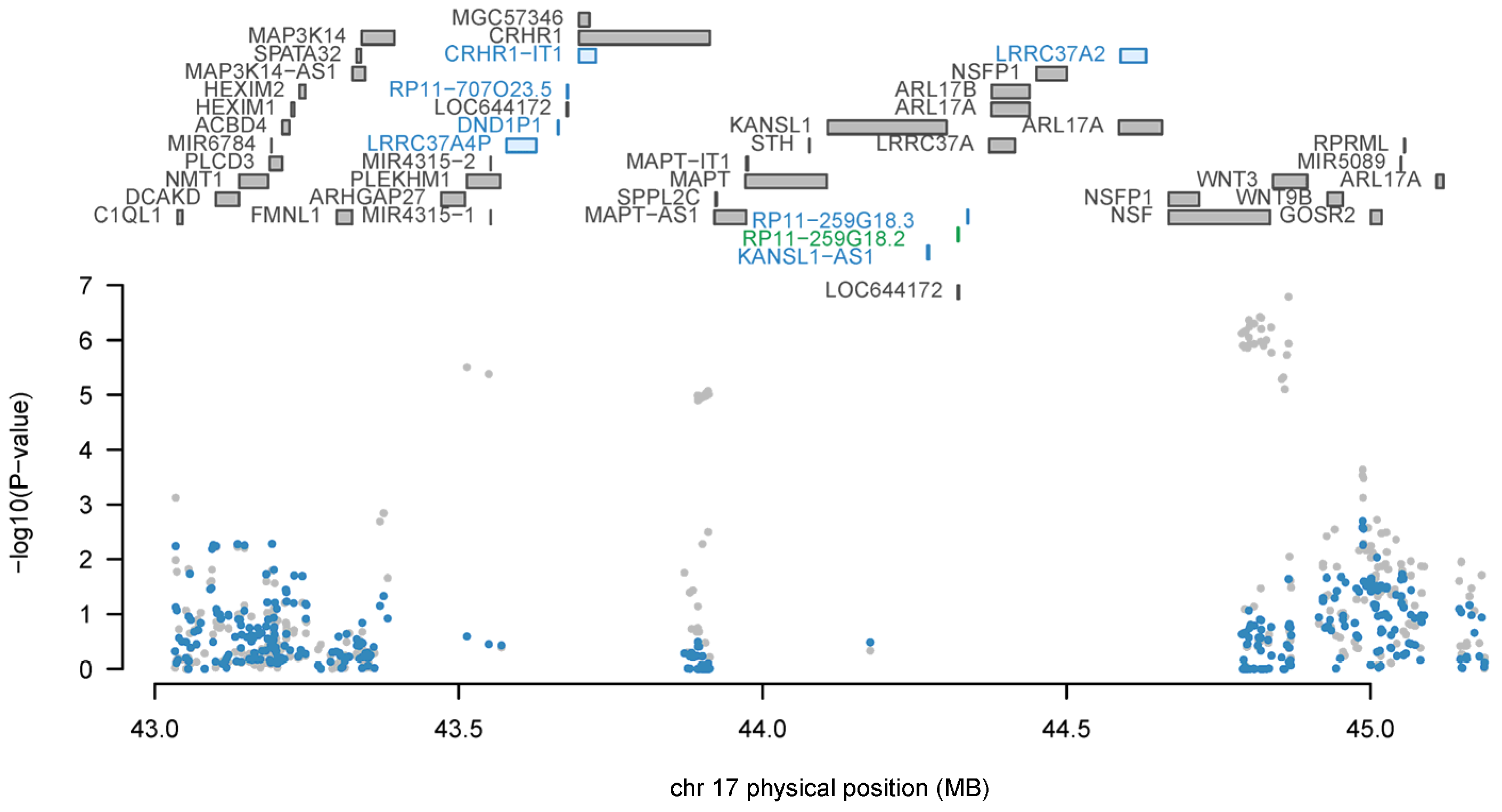 Genes 14 01027 g006 Genes 14 01027 g006