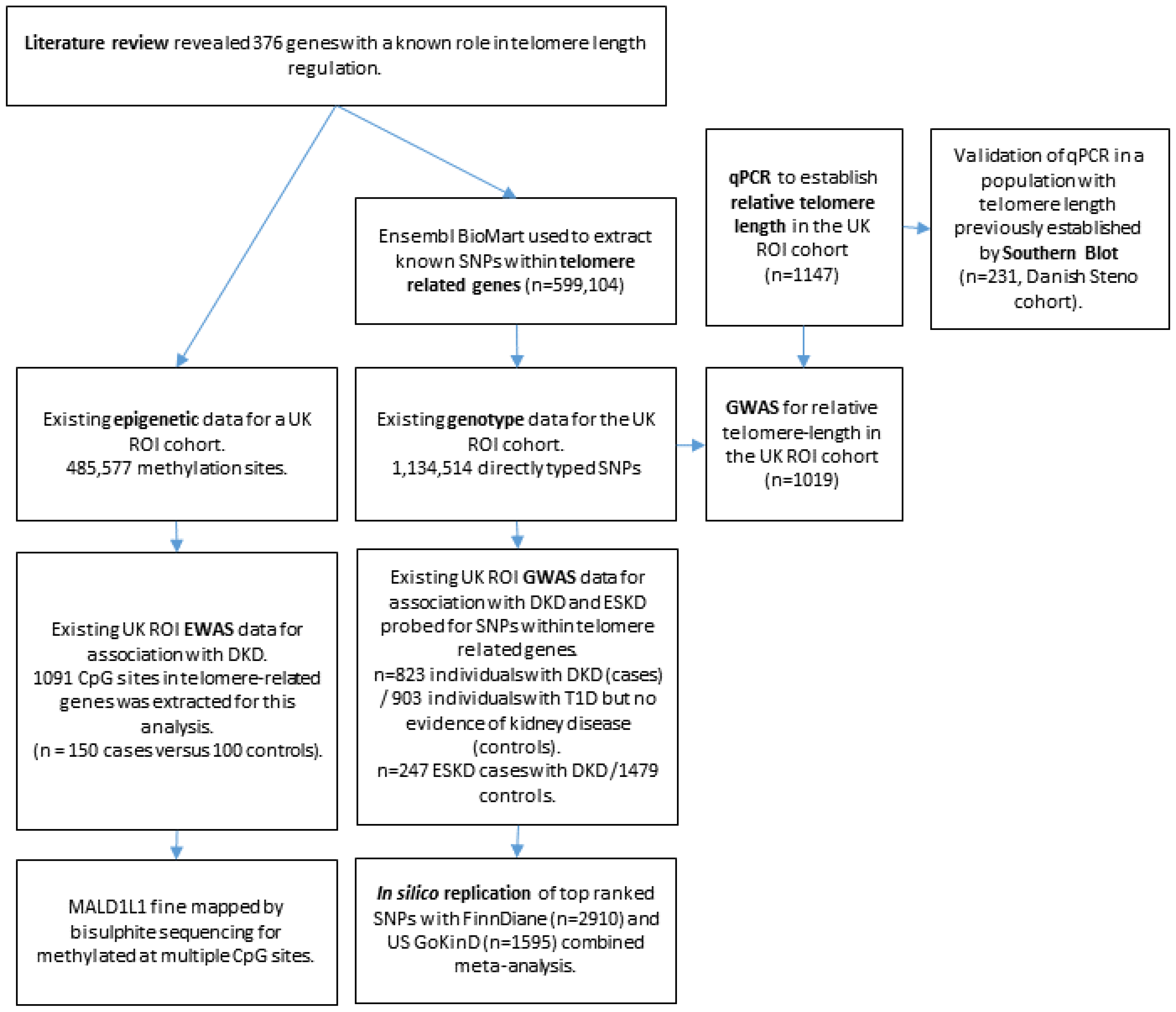 Genes 14 01029 g001 Genes 14 01029 g001